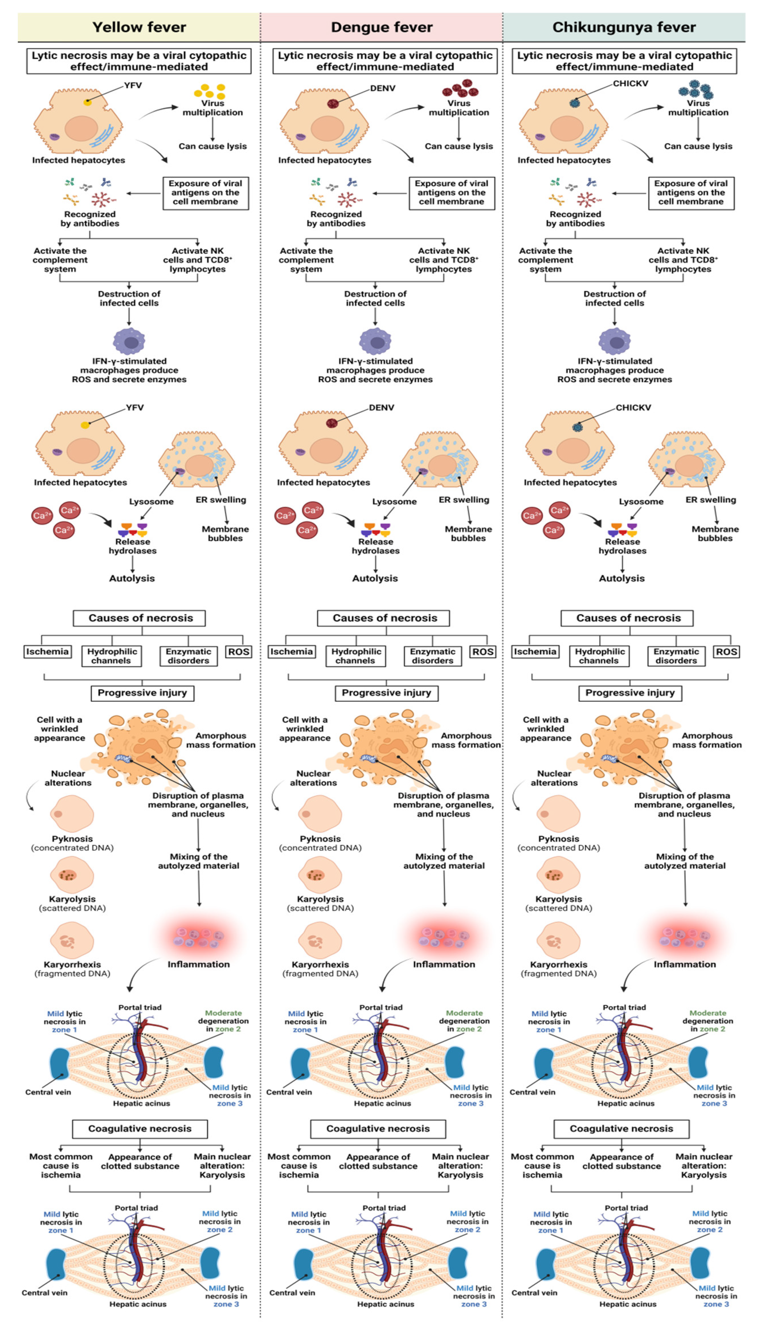 Pathogens 12 00680 g010