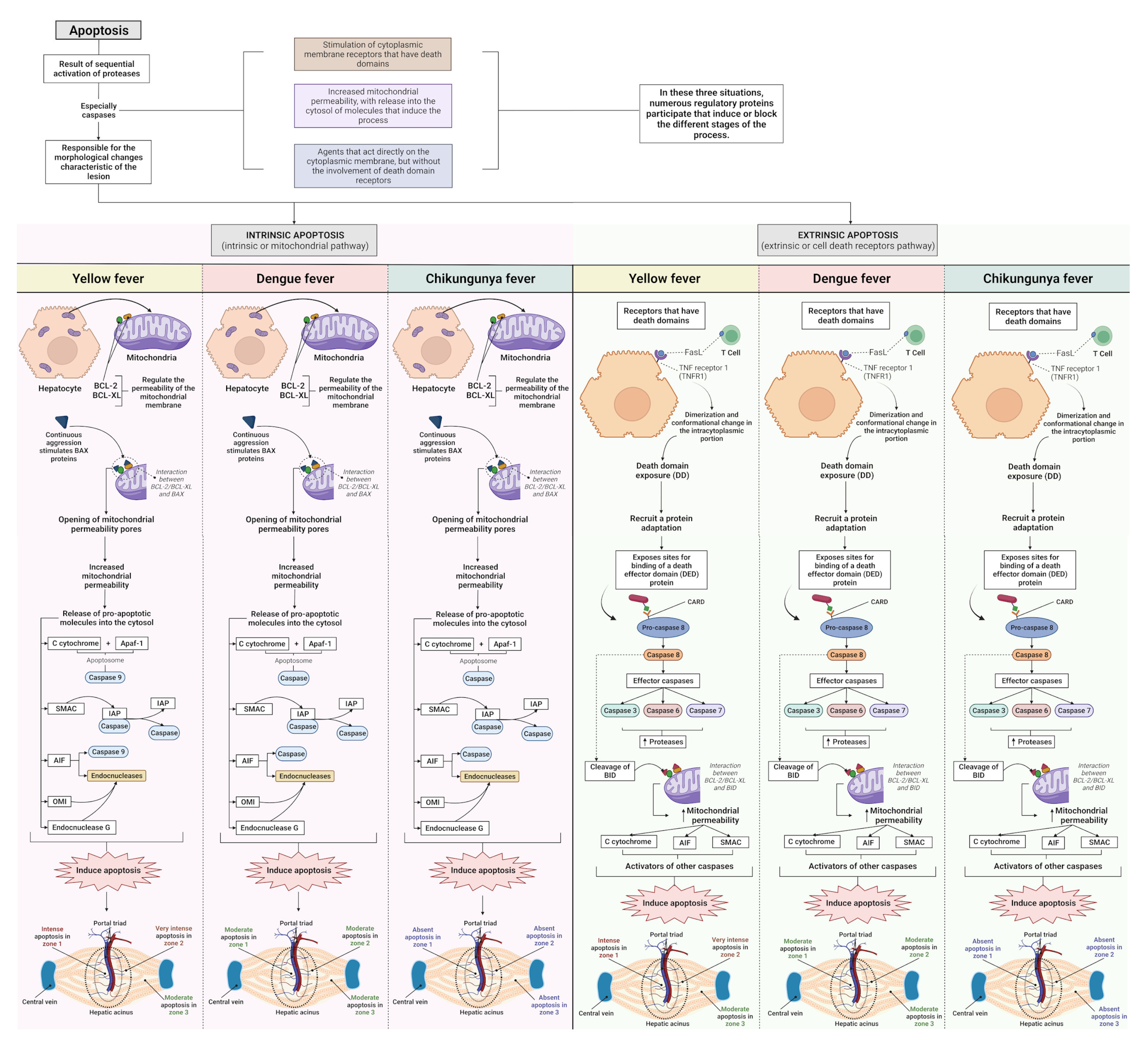Pathogens 12 00680 g011