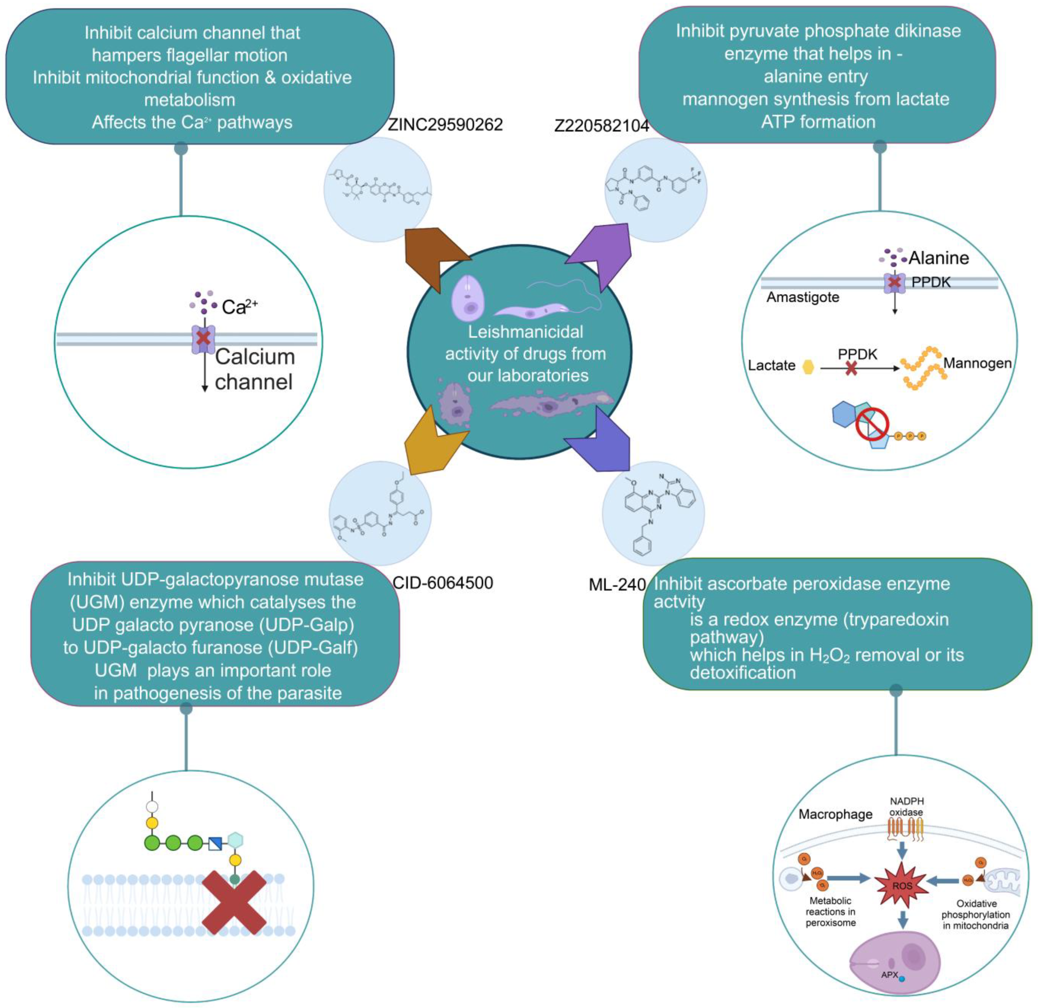 Pathogens 12 00706 g003 Pathogens 12 00706 g003