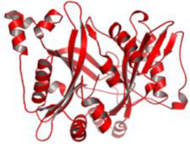 Pathogens 12 00706 i010 Pathogens 12 00706 i010