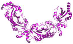 Pathogens 12 00706 i012 Pathogens 12 00706 i012