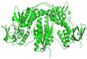 Pathogens 12 00706 i015 Pathogens 12 00706 i015