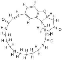 Pathogens 12 00706 i019 Pathogens 12 00706 i019