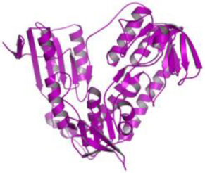 Pathogens 12 00706 i020 Pathogens 12 00706 i020