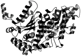 Pathogens 12 00706 i035 Pathogens 12 00706 i035