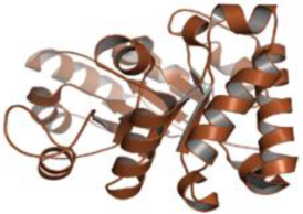 Pathogens 12 00706 i038 Pathogens 12 00706 i038