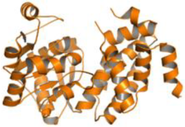 Pathogens 12 00706 i039 Pathogens 12 00706 i039