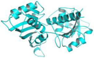 Pathogens 12 00706 i040 Pathogens 12 00706 i040