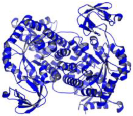 Pathogens 12 00706 i042 Pathogens 12 00706 i042