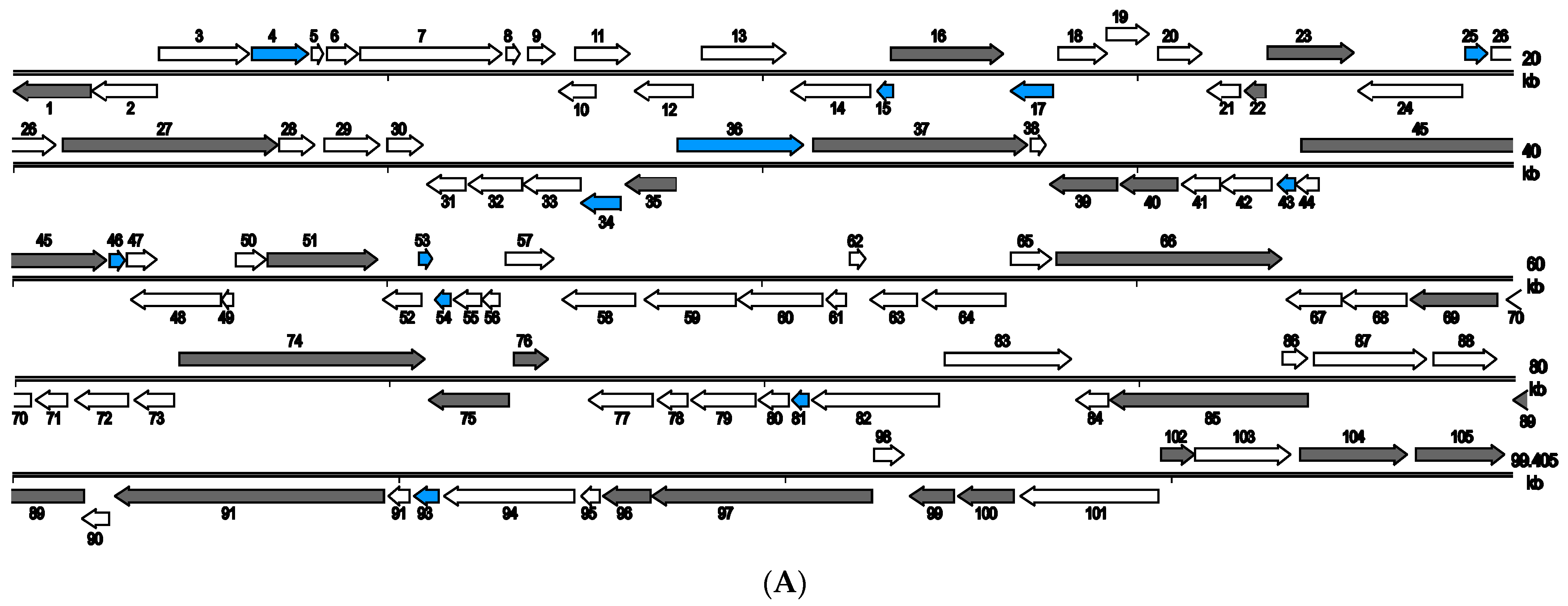 Pathogens 12 00730 g003a Pathogens 12 00730 g003a
