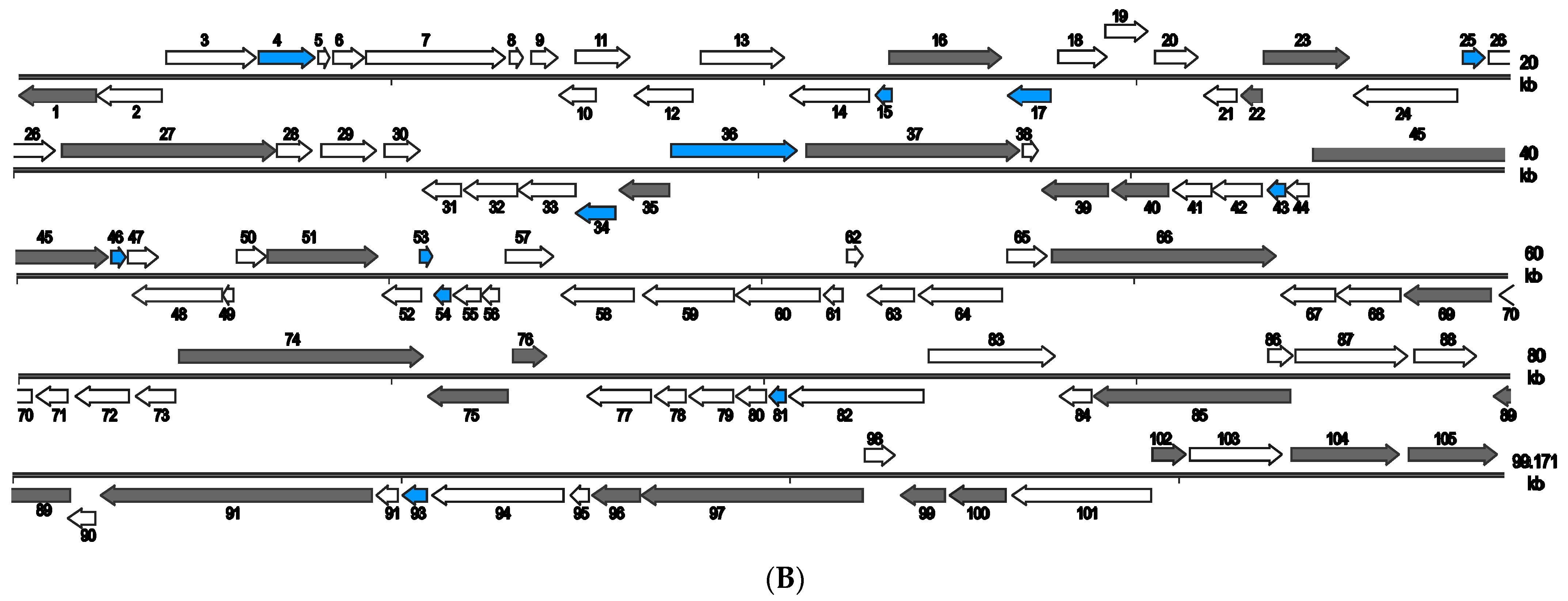 Pathogens 12 00730 g003b Pathogens 12 00730 g003b
