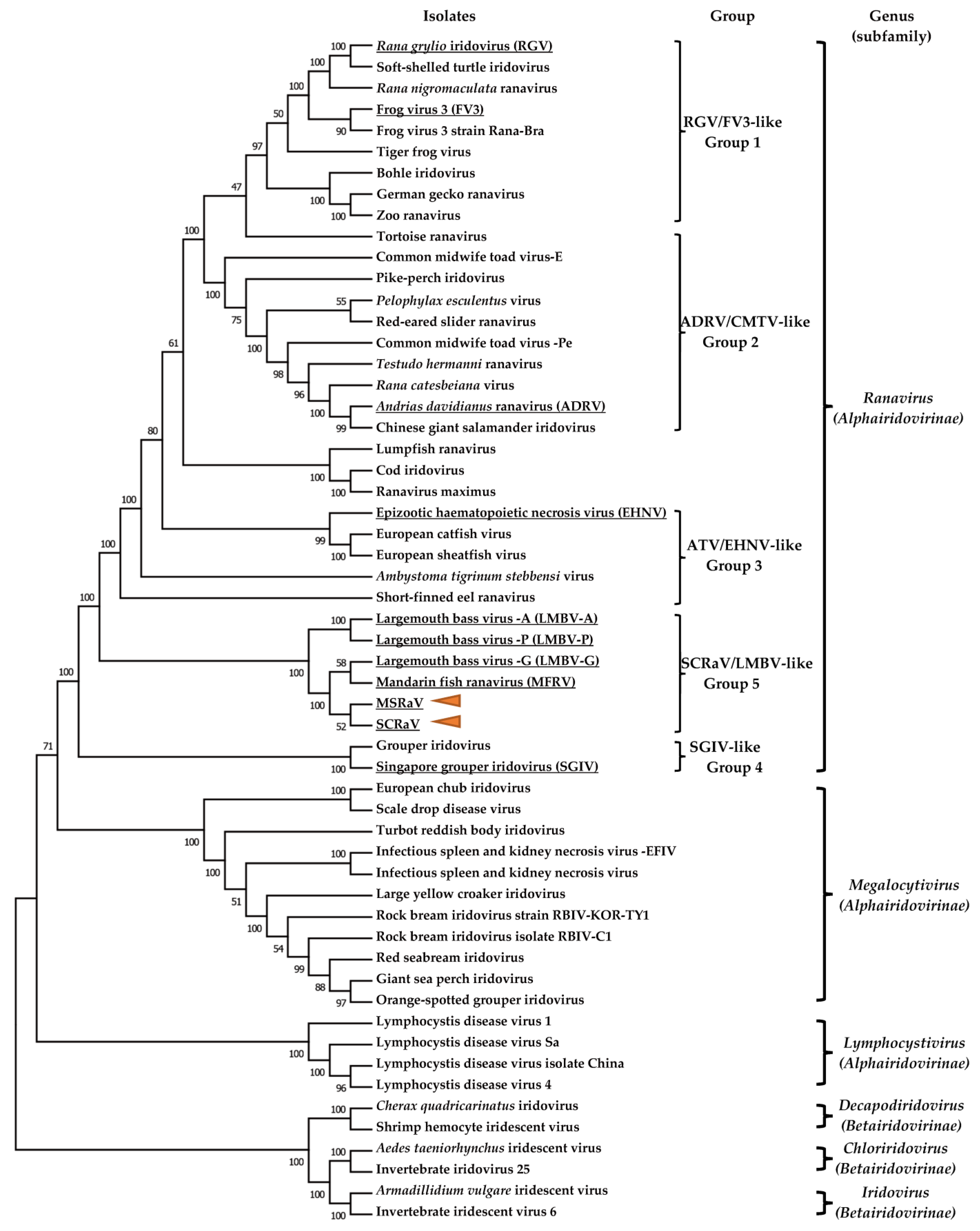 Pathogens 12 00730 g004 Pathogens 12 00730 g004