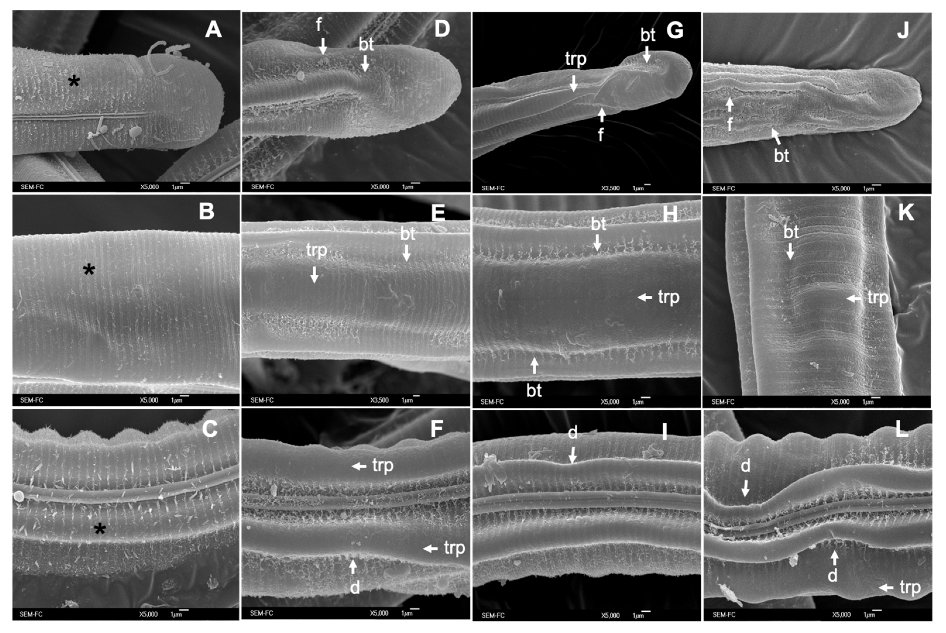 Pathogens 12 00744 g002