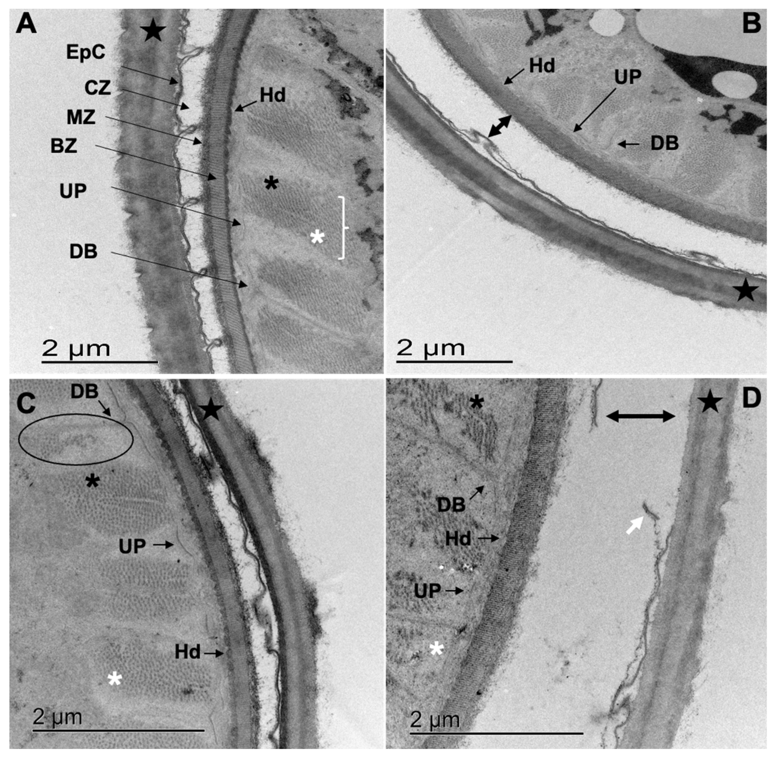 Pathogens 12 00744 g006