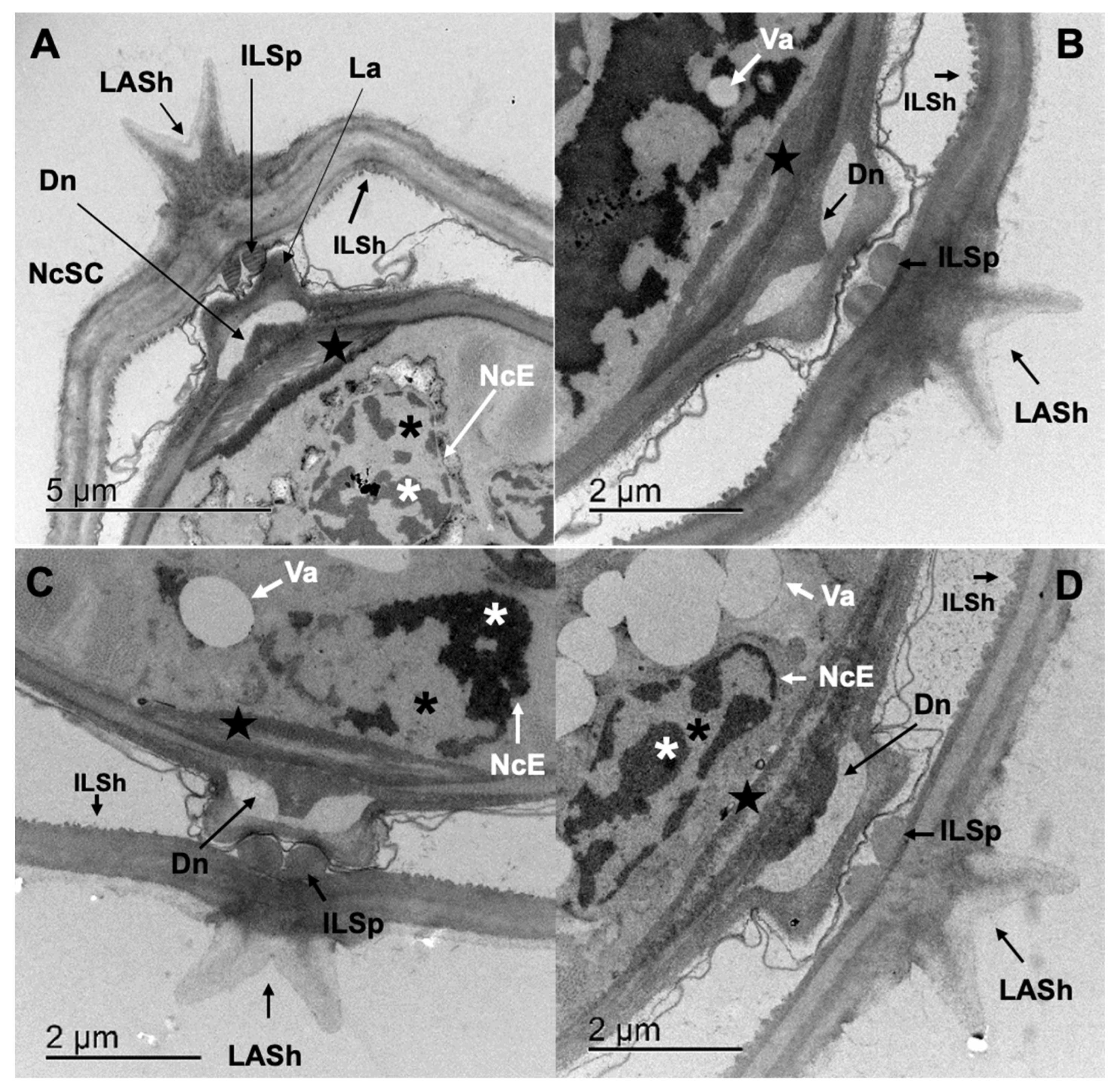 Pathogens 12 00744 g007