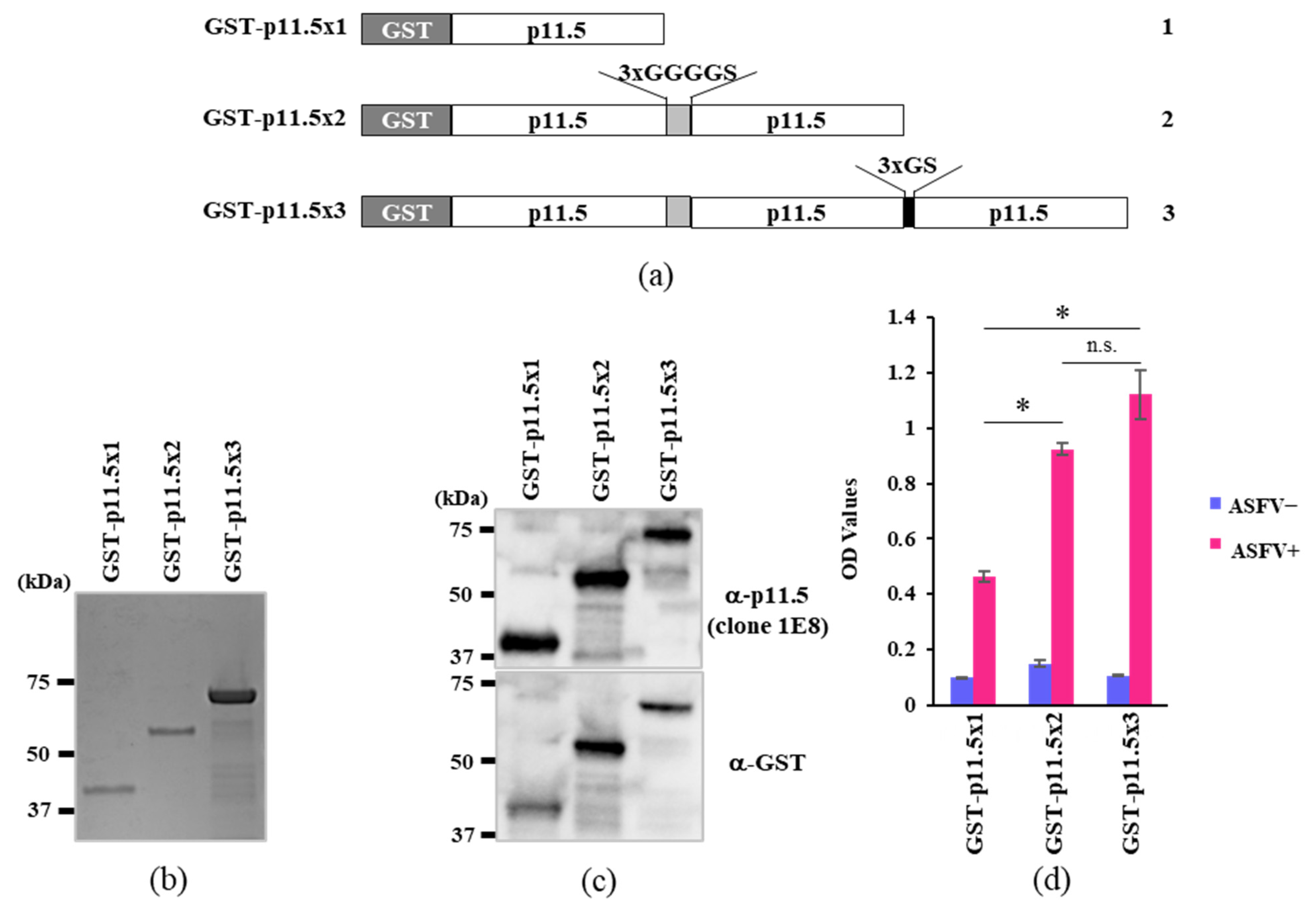 An indirect ELISA system for the detection of heat-stable