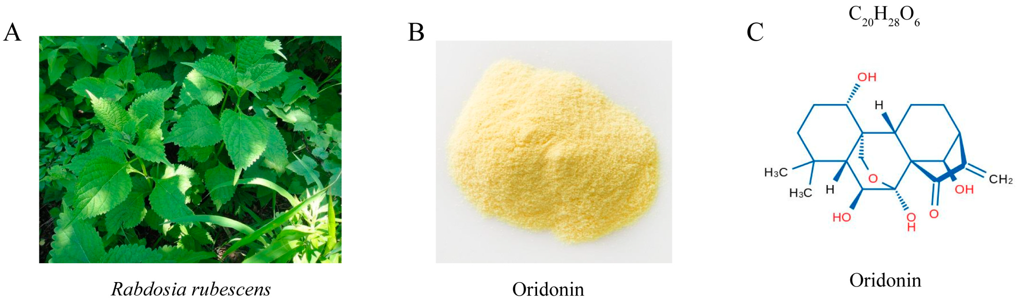 Pathogens 12 00799 g001 Pathogens 12 00799 g001
