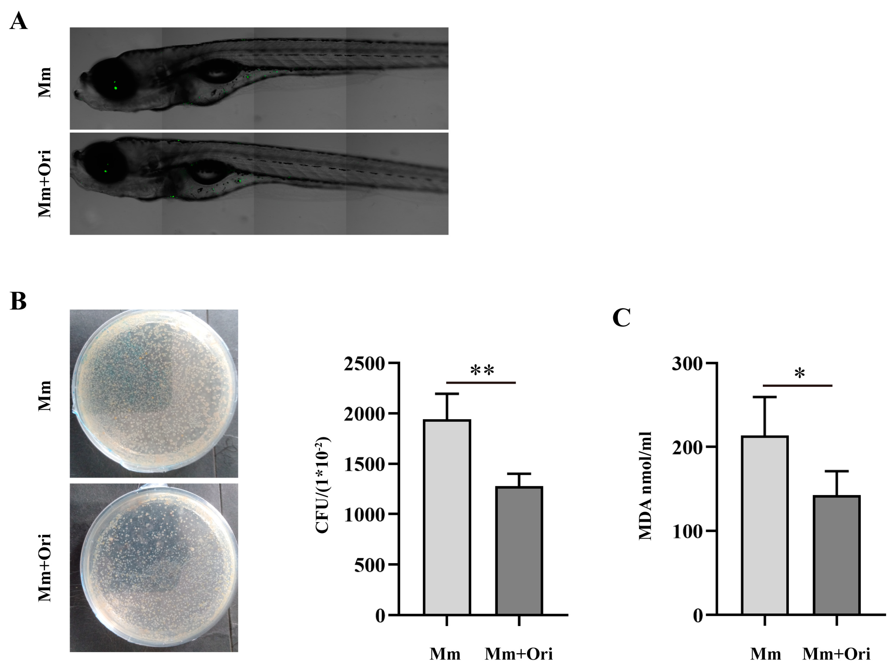 Pathogens 12 00799 g004 Pathogens 12 00799 g004