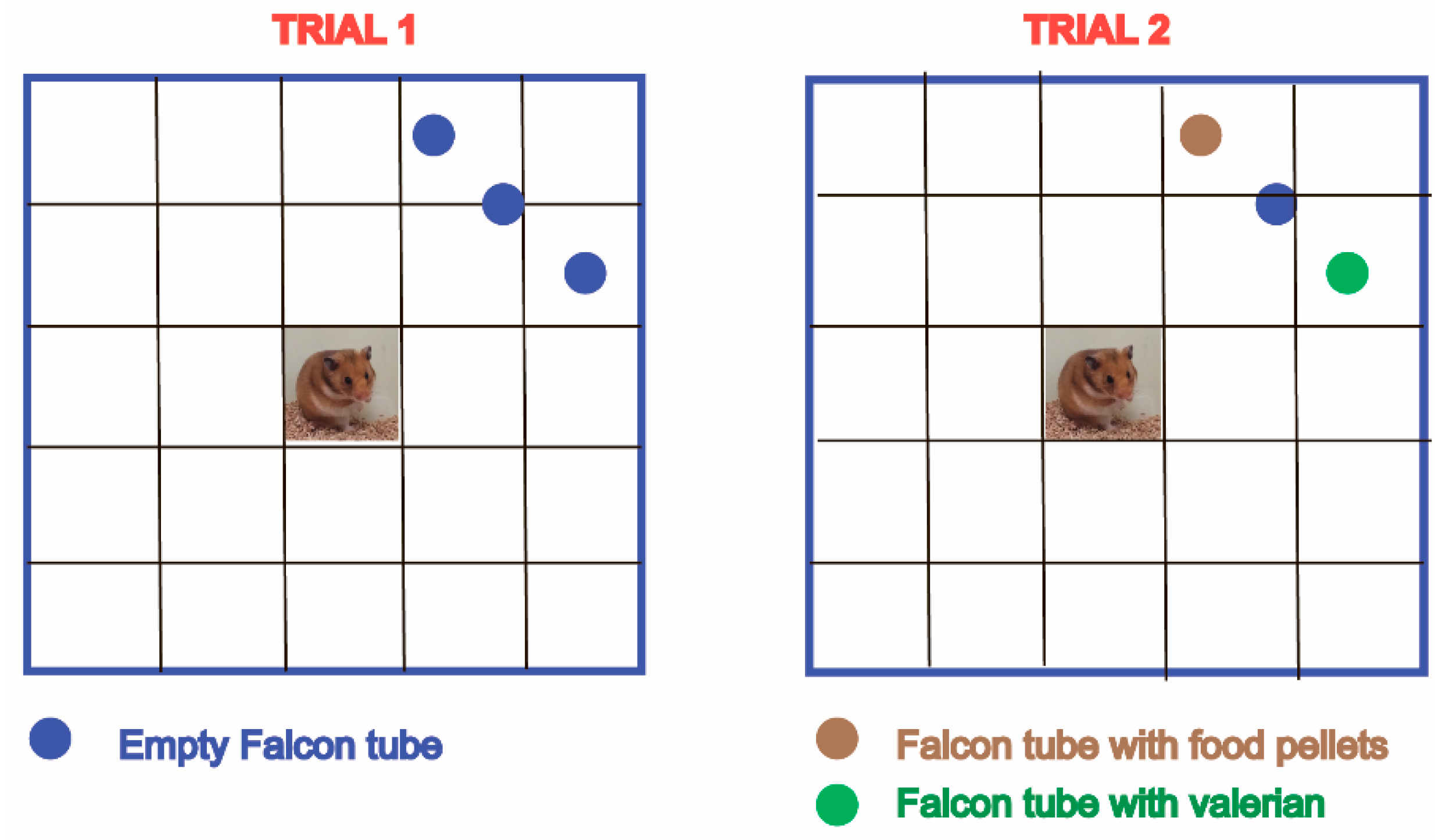 Pathogens 12 00819 g002 Pathogens 12 00819 g002