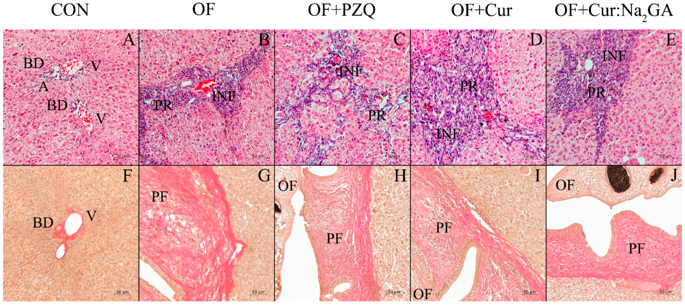 Pathogens 12 00819 g010 Pathogens 12 00819 g010