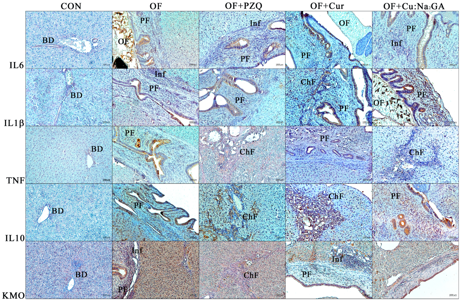 Pathogens 12 00819 g011 Pathogens 12 00819 g011