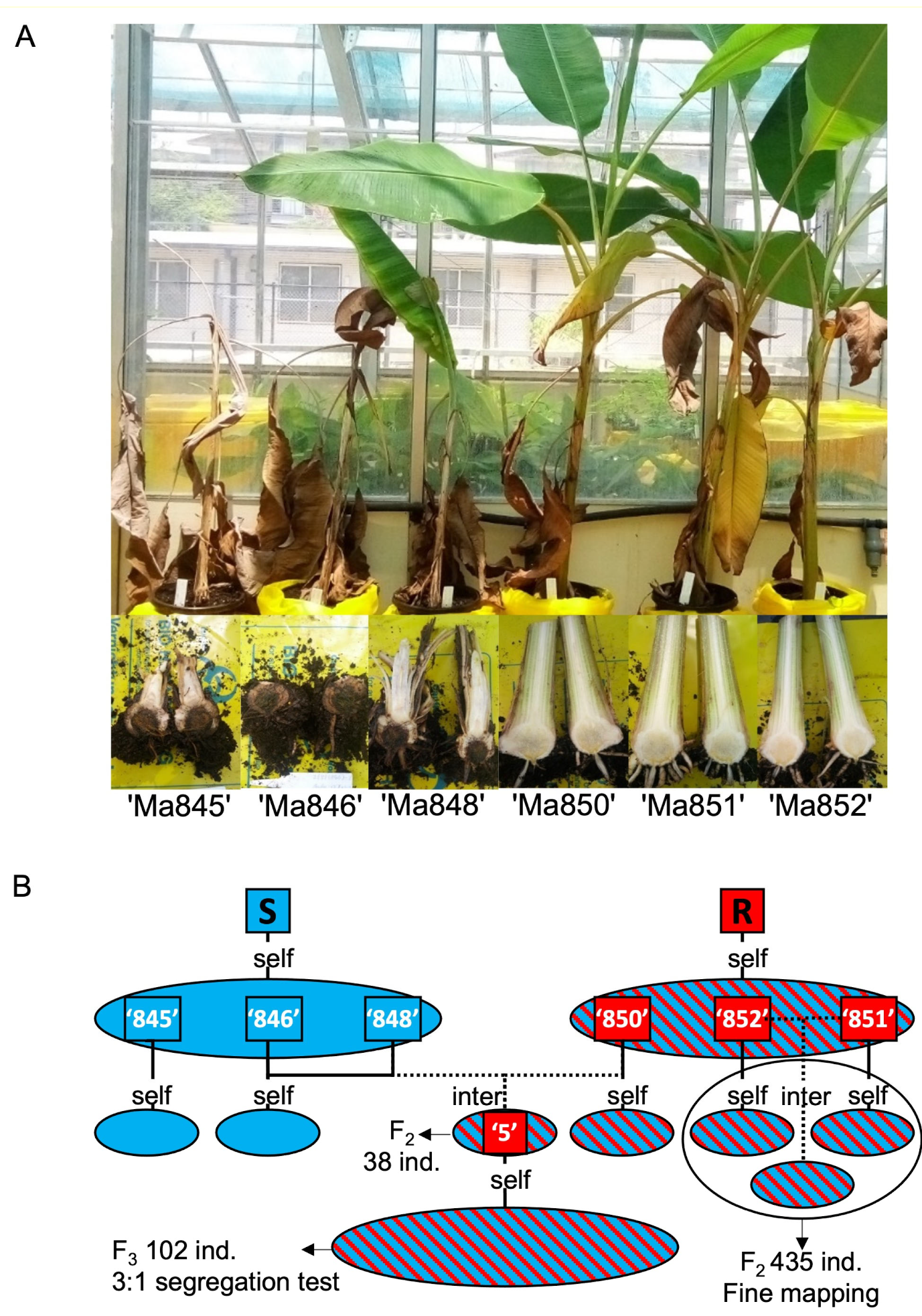 Pathogens 12 00820 g001 Pathogens 12 00820 g001
