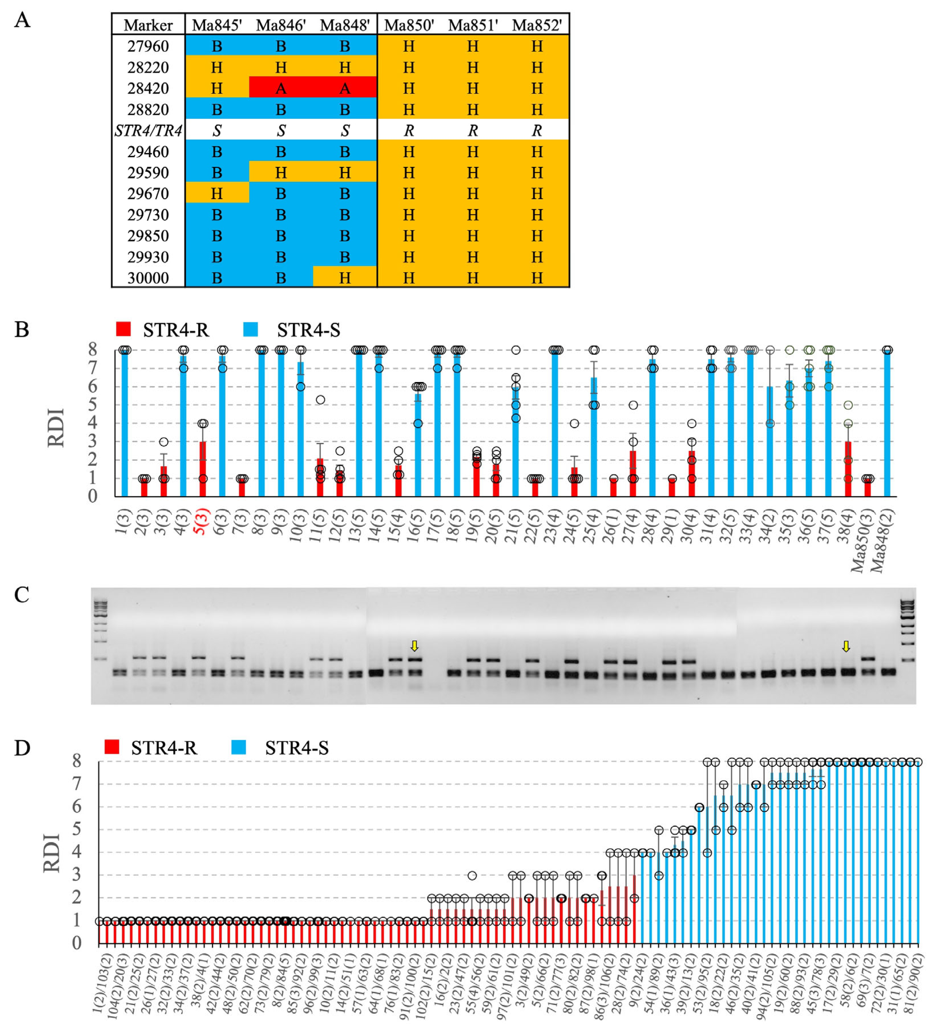 Pathogens 12 00820 g005 Pathogens 12 00820 g005