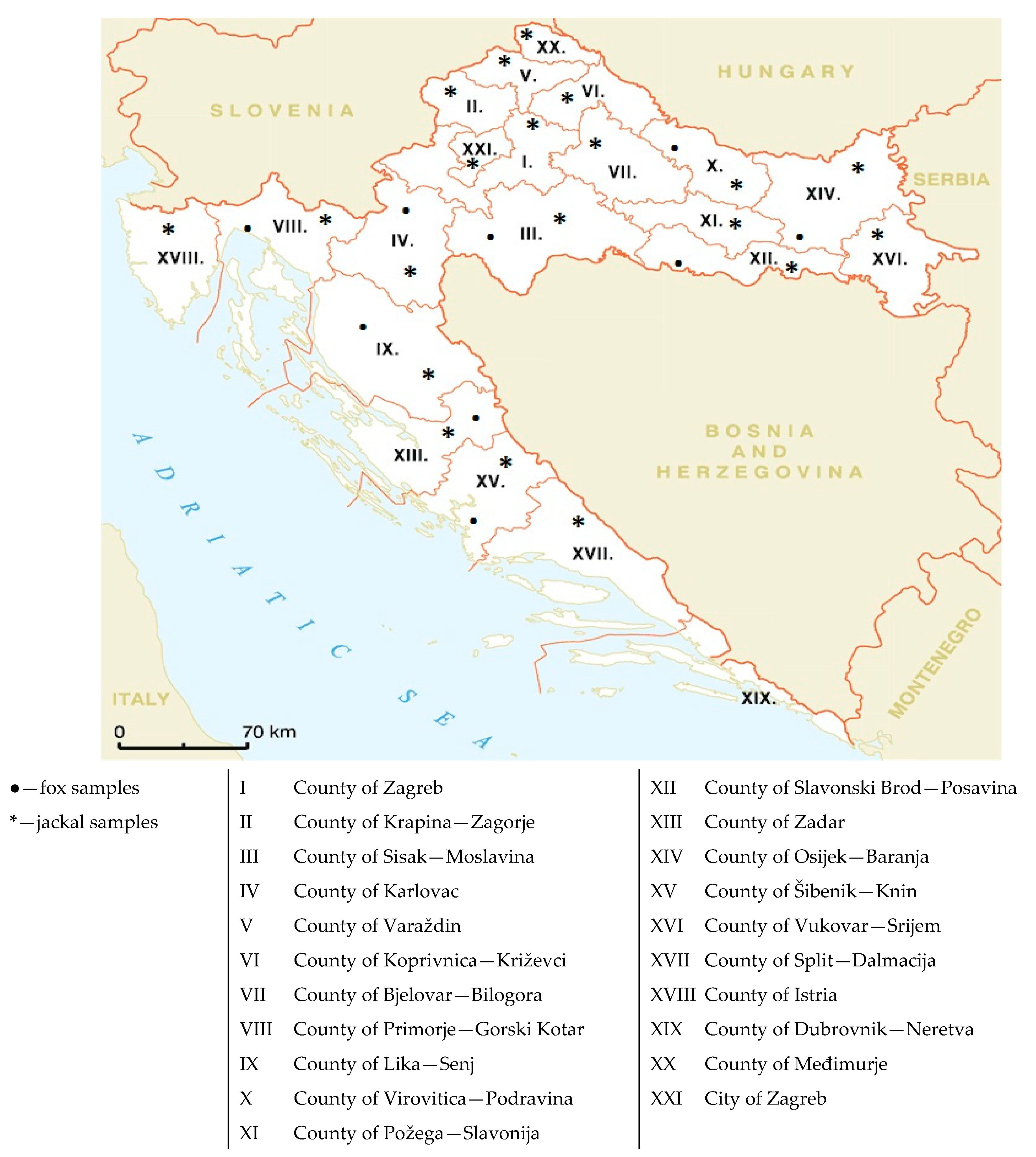 Pathogens | Free Full-Text | Canine Distemper Virus Infection in the  Free-Living Wild Canines, the Red Fox (Vulpes vulpes) and Jackal (Canis  aureus moreoticus), in Croatia
