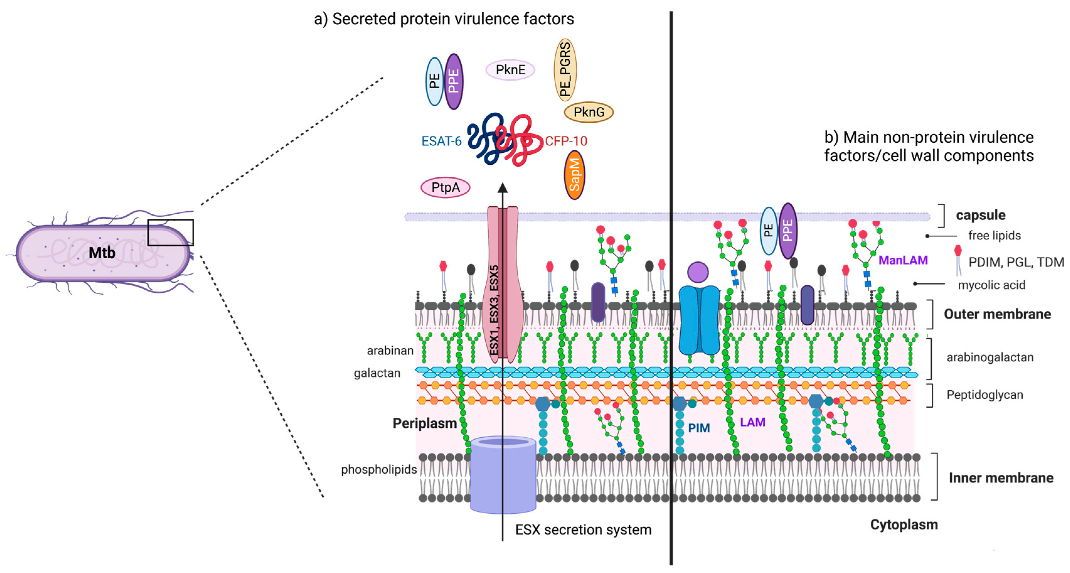 Tuberculosis Single Cell