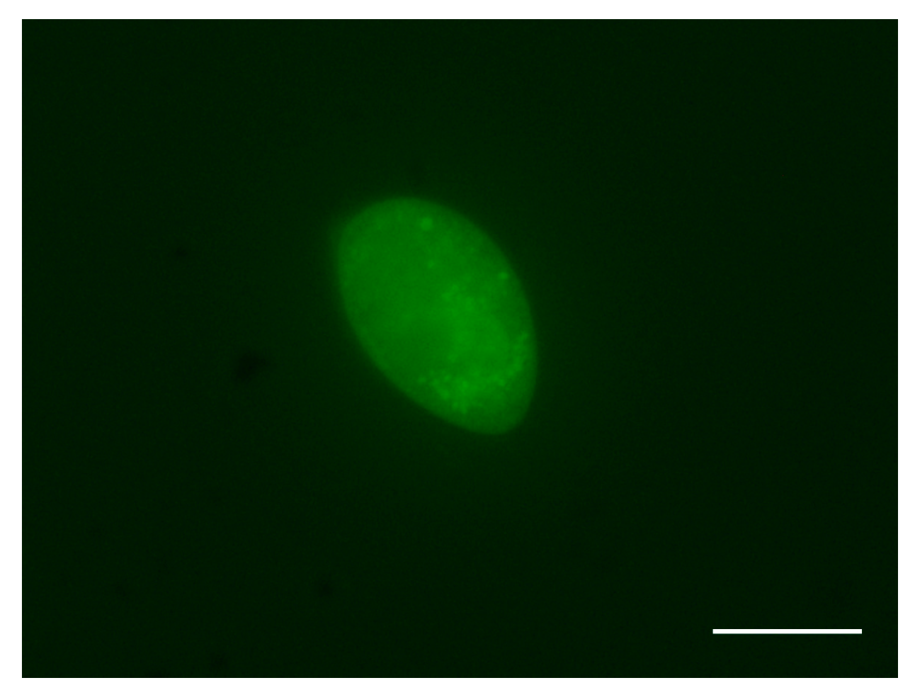 Pathogens 12 00860 g001