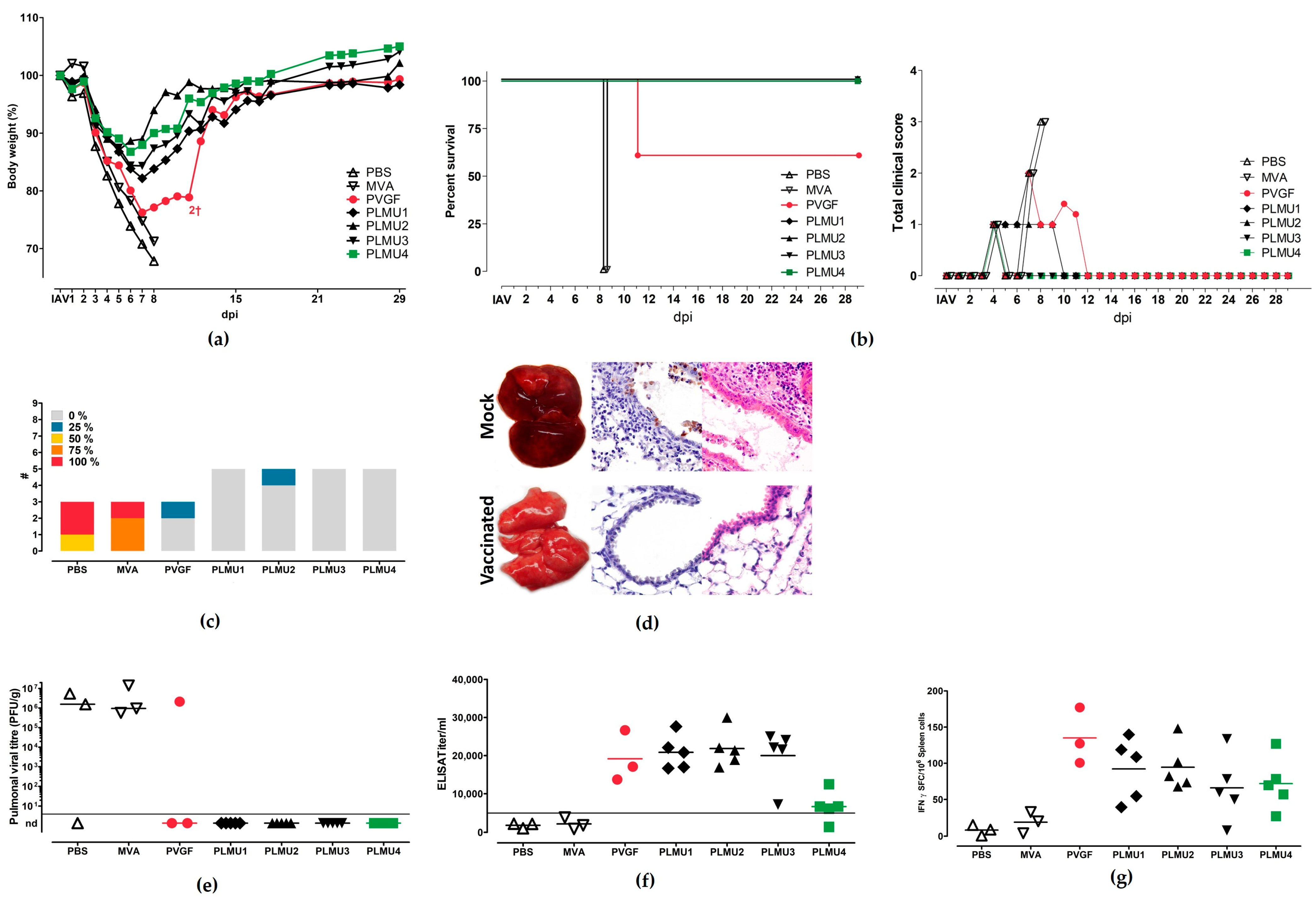 Pathogens 12 00867 g002