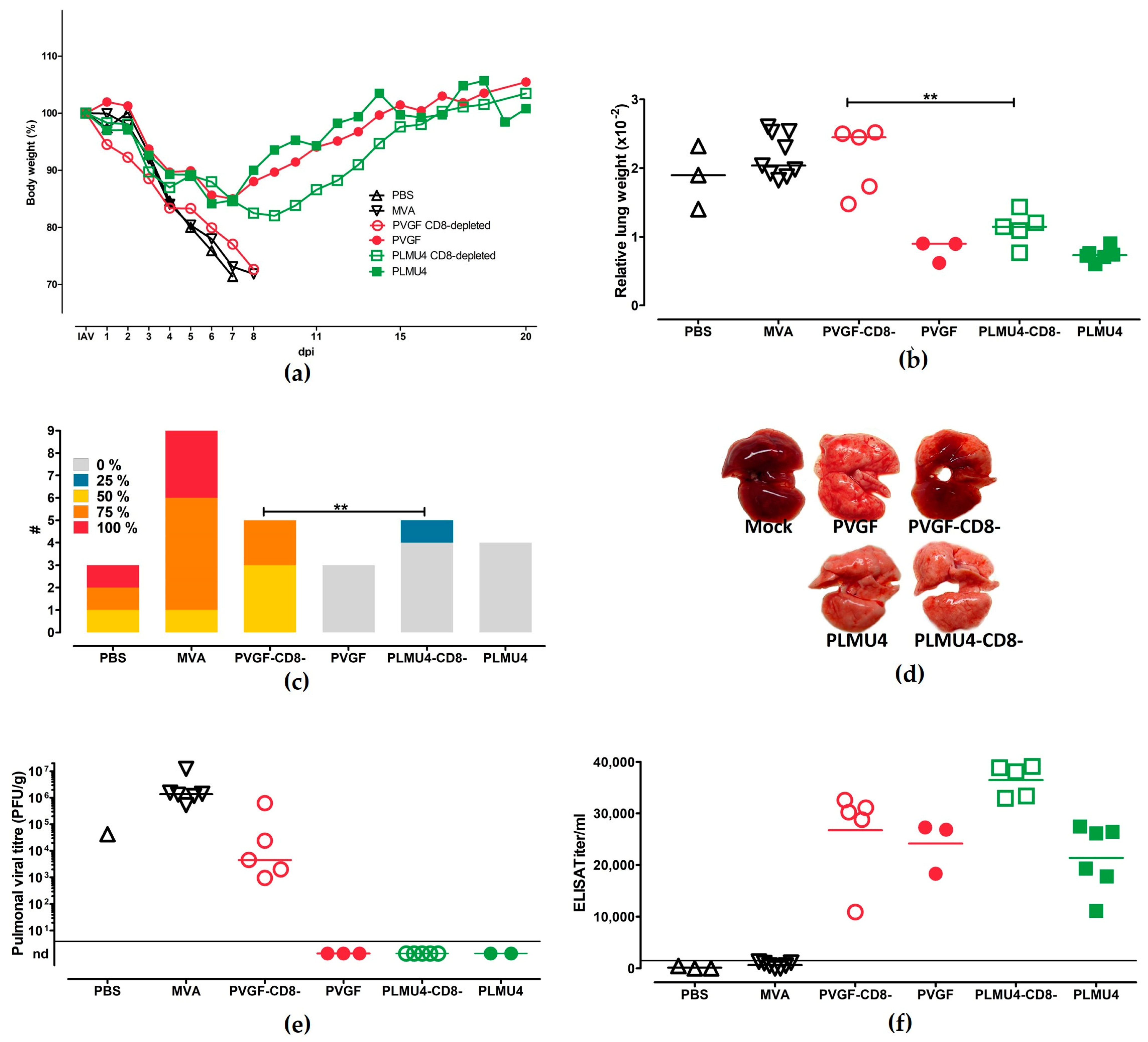 Pathogens 12 00867 g006
