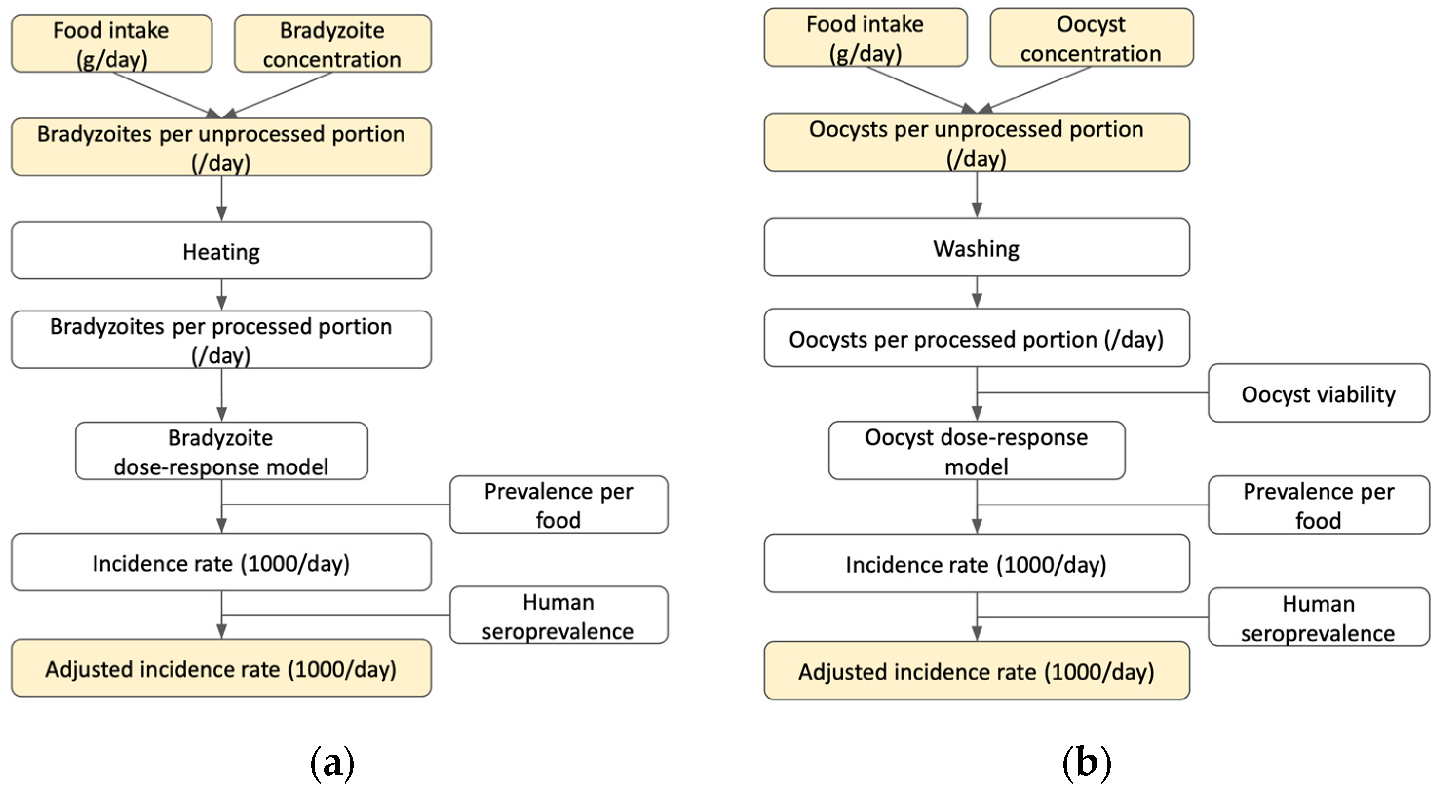 Pathogens 12 00870 g002