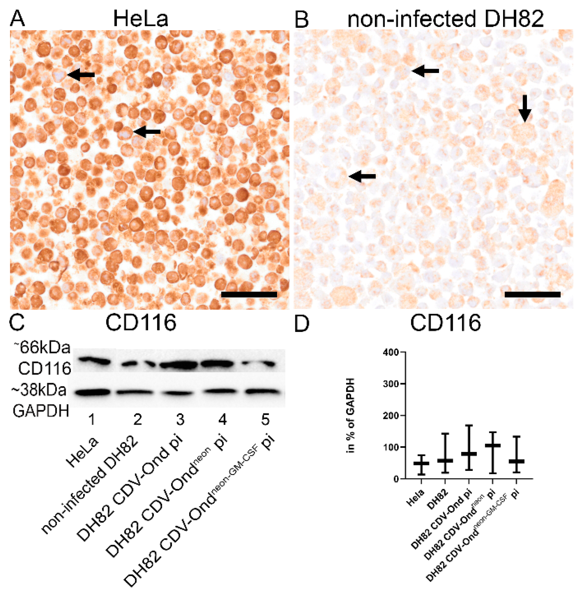 Pathogens 12 00877 g005 Pathogens 12 00877 g005