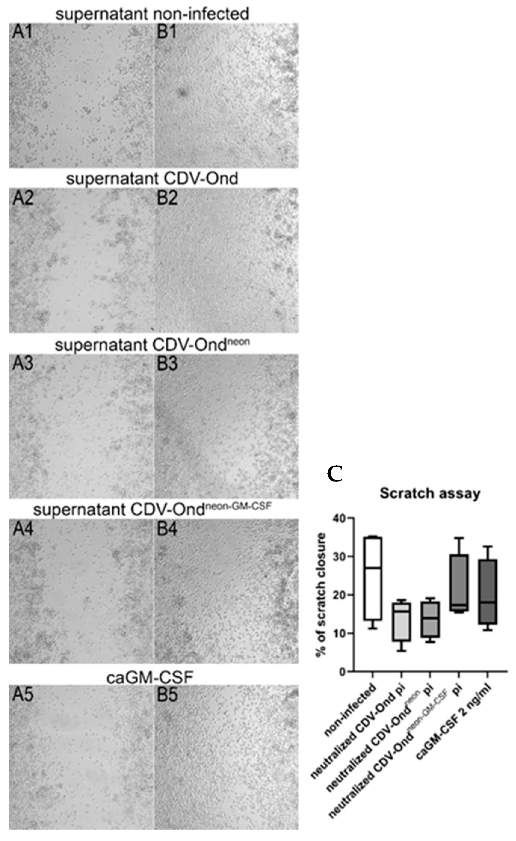 Pathogens 12 00877 g006 Pathogens 12 00877 g006