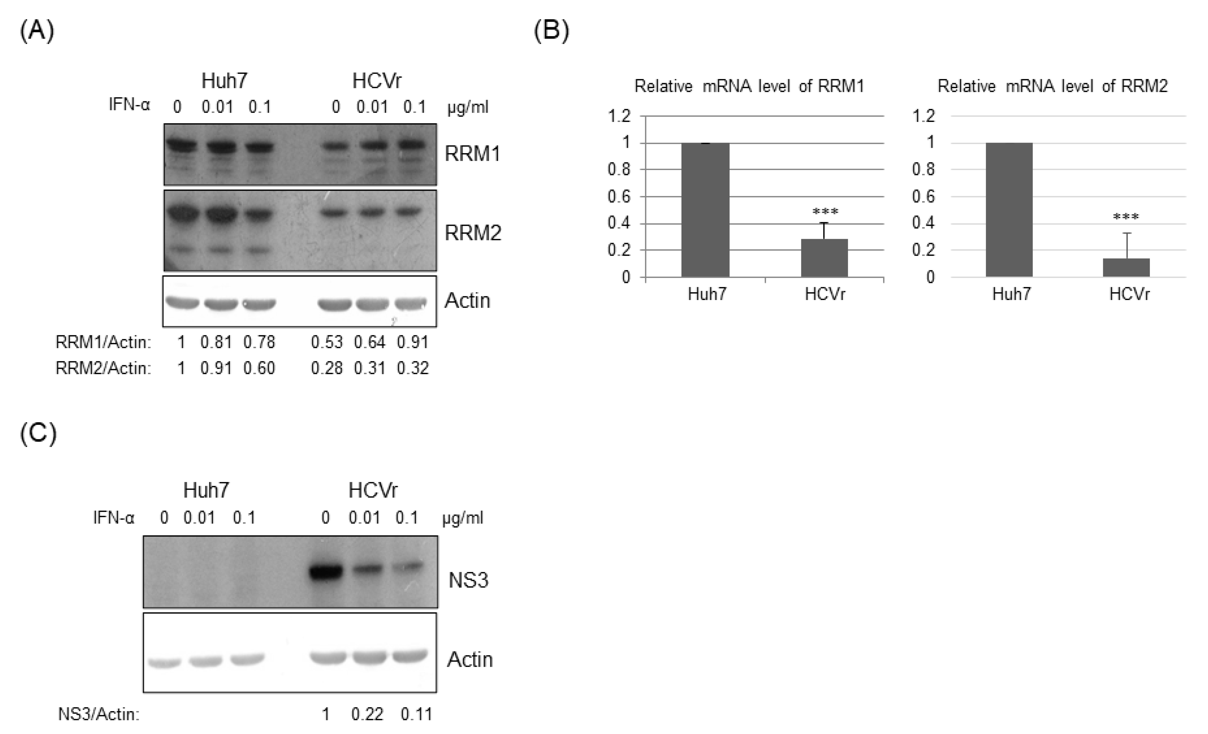 Pathogens 12 00892 g002