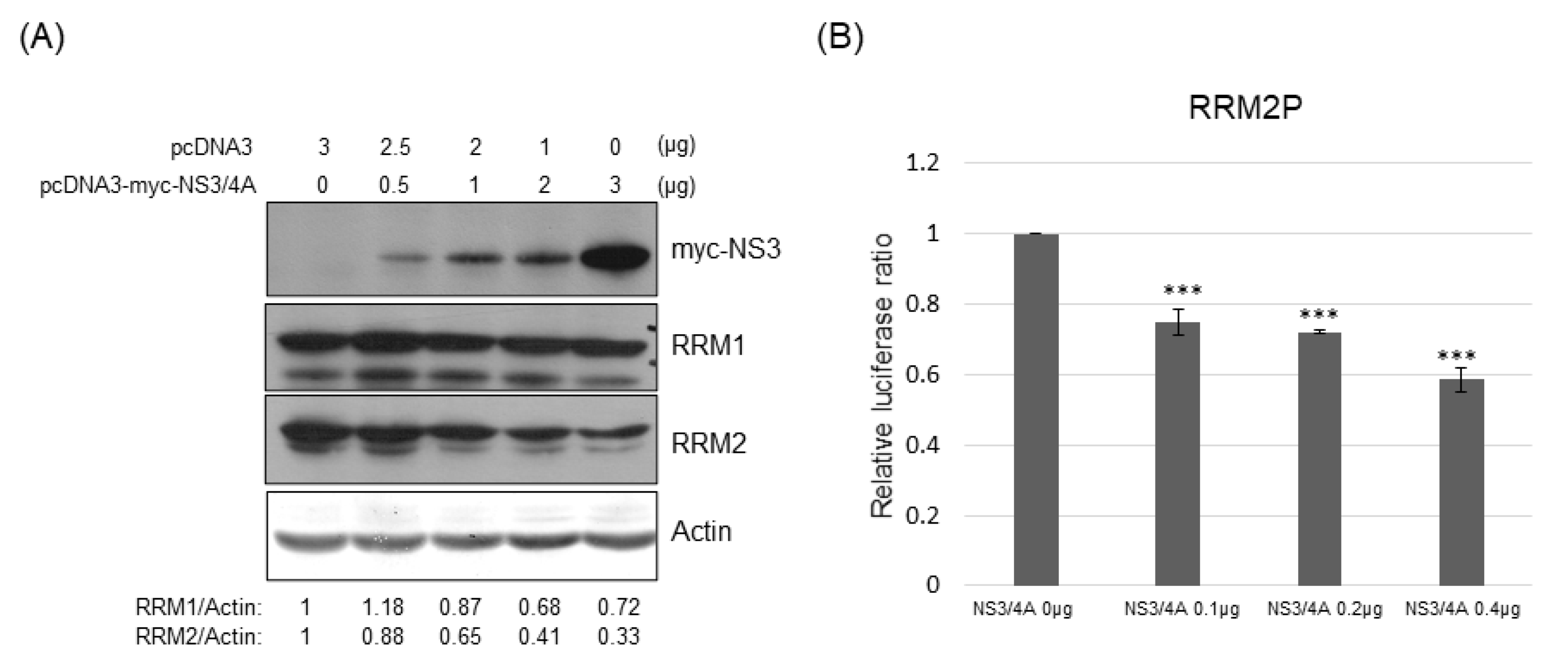 Pathogens 12 00892 g007