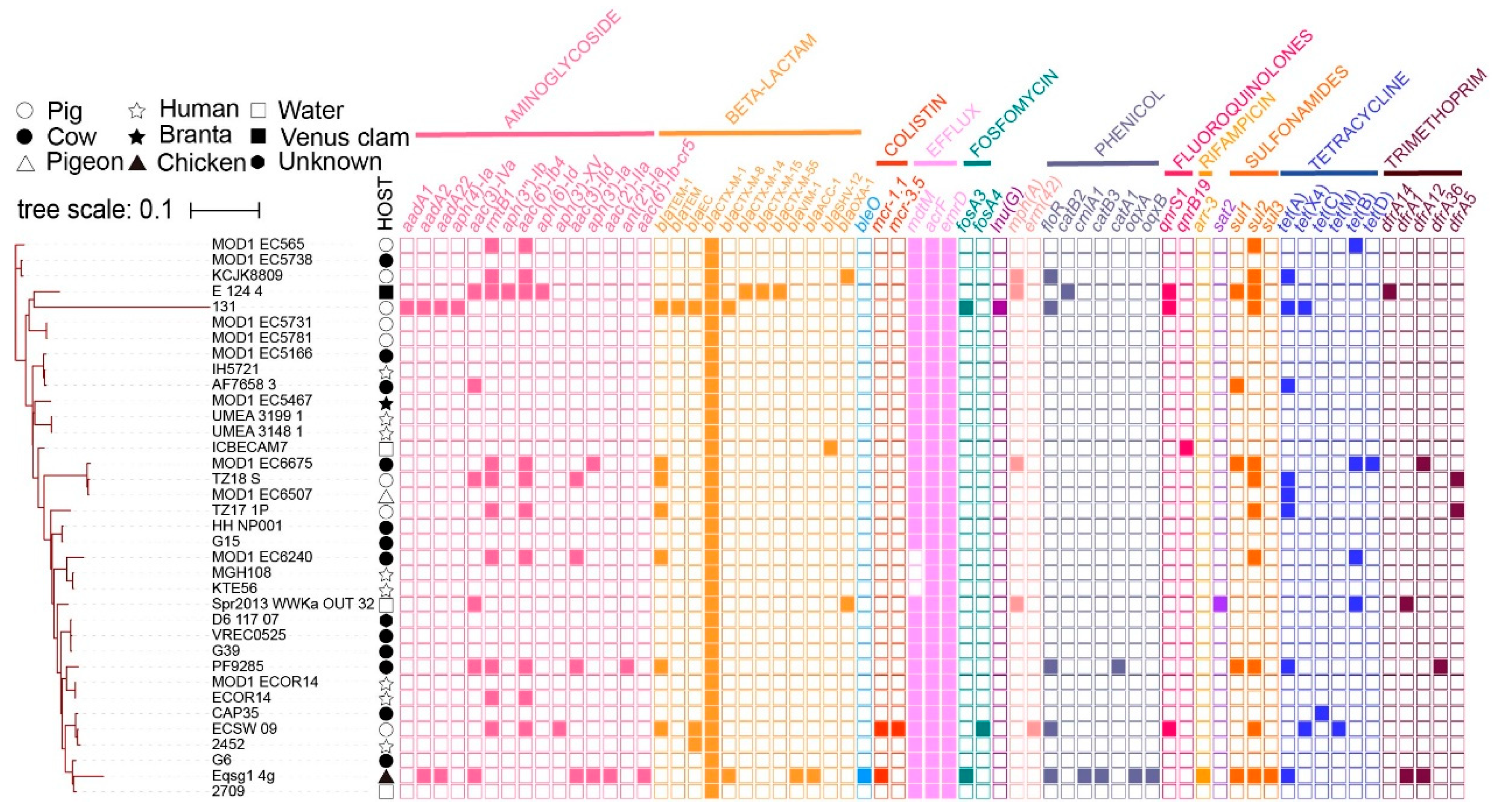 Pathogens 12 00903 g003 Pathogens 12 00903 g003