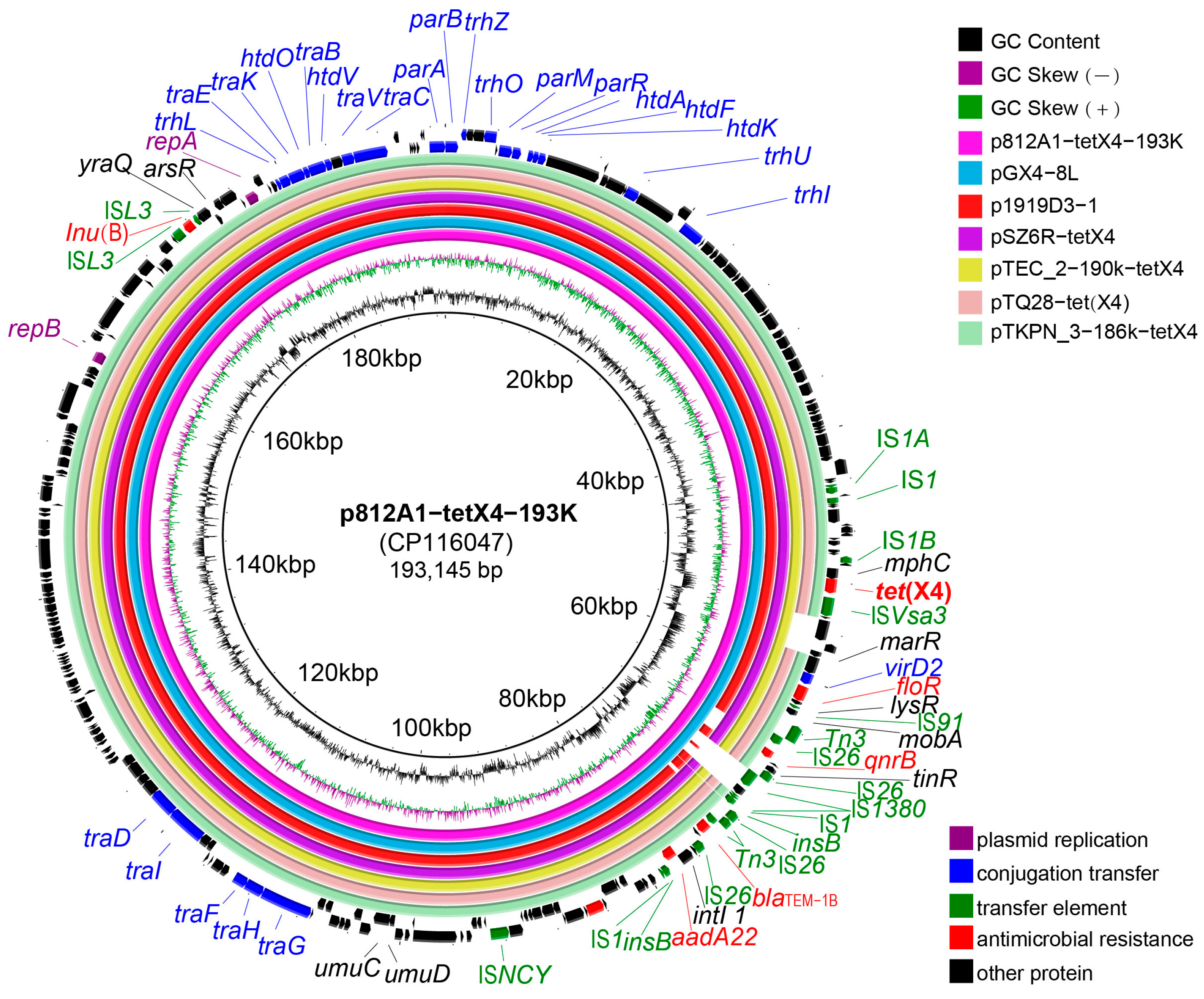 Pathogens 12 00903 g005 Pathogens 12 00903 g005