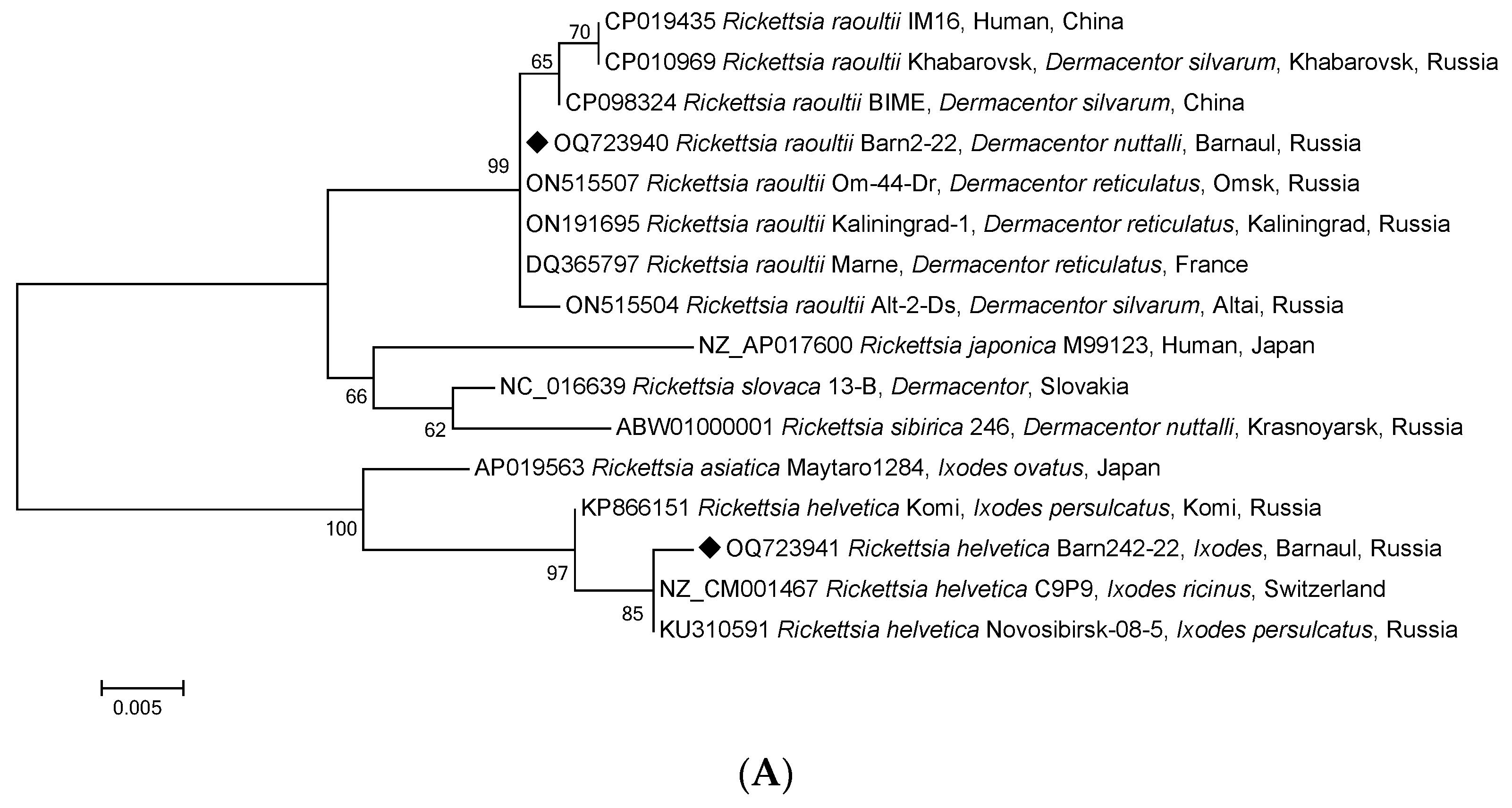 Pathogens 12 00914 g004a Pathogens 12 00914 g004a