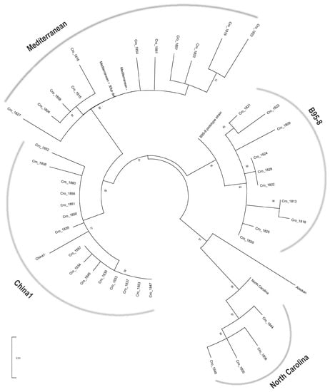 Pathogens, Free Full-Text