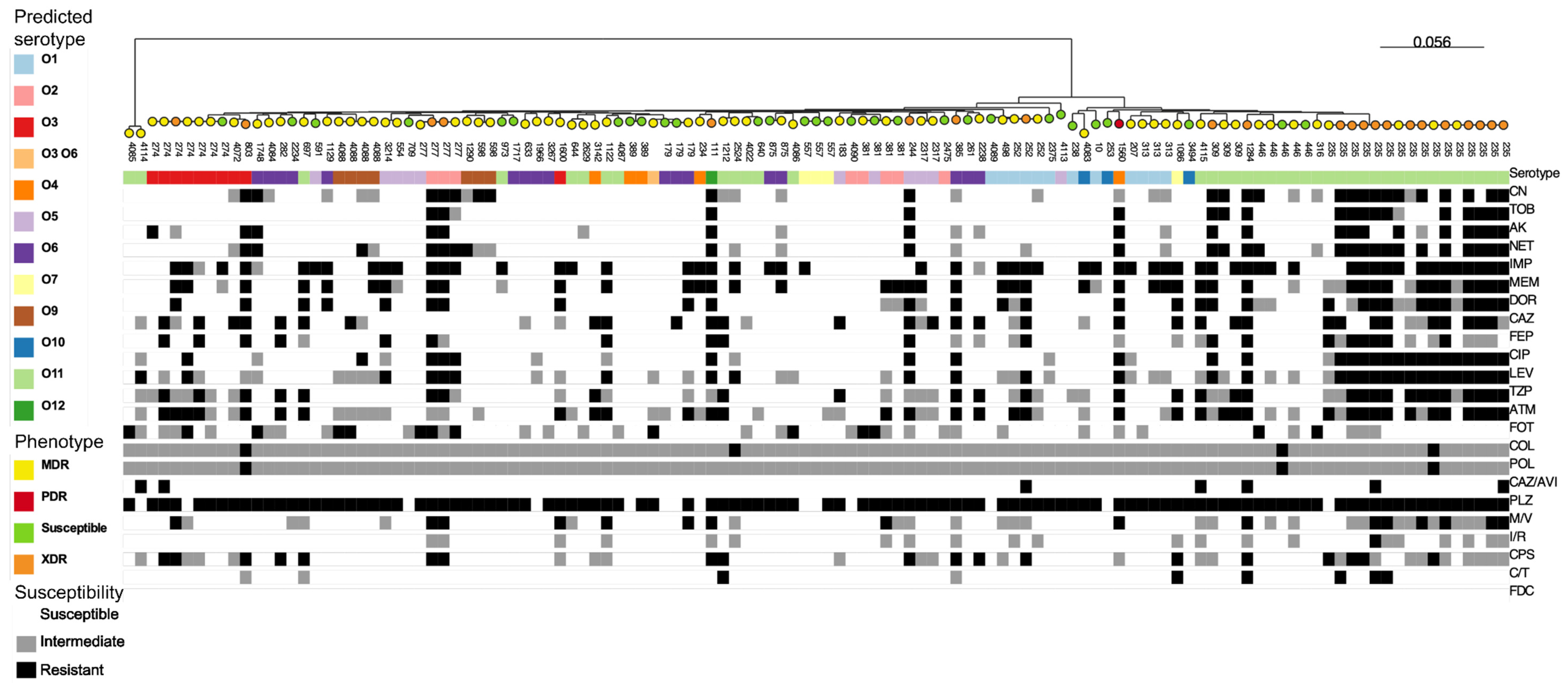 Pathogens 12 00918 g001
