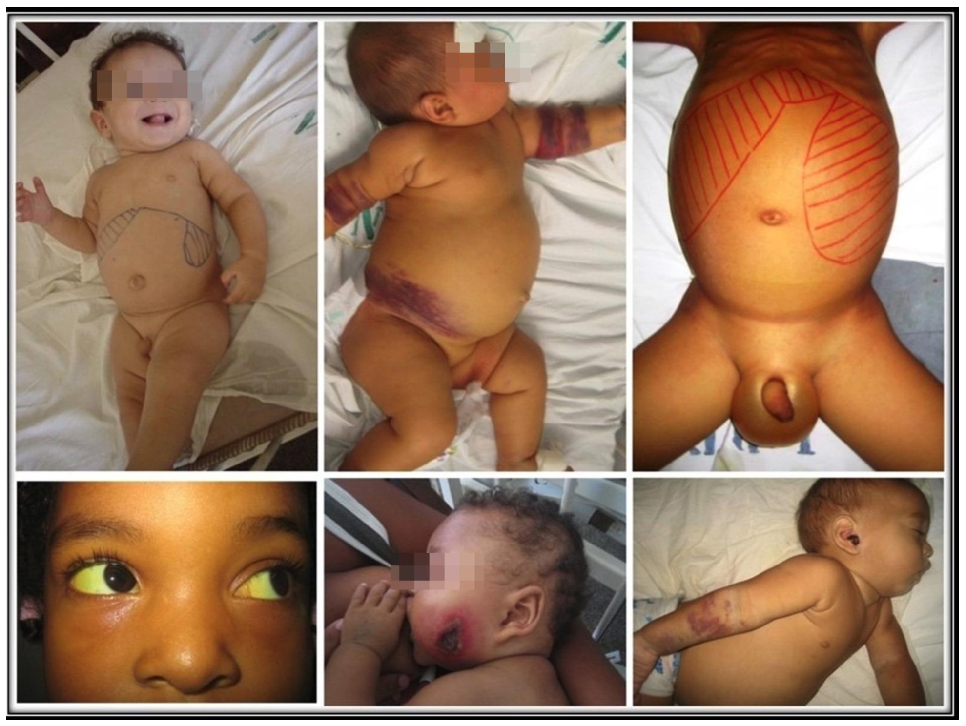 Pathogens 12 00969 g002