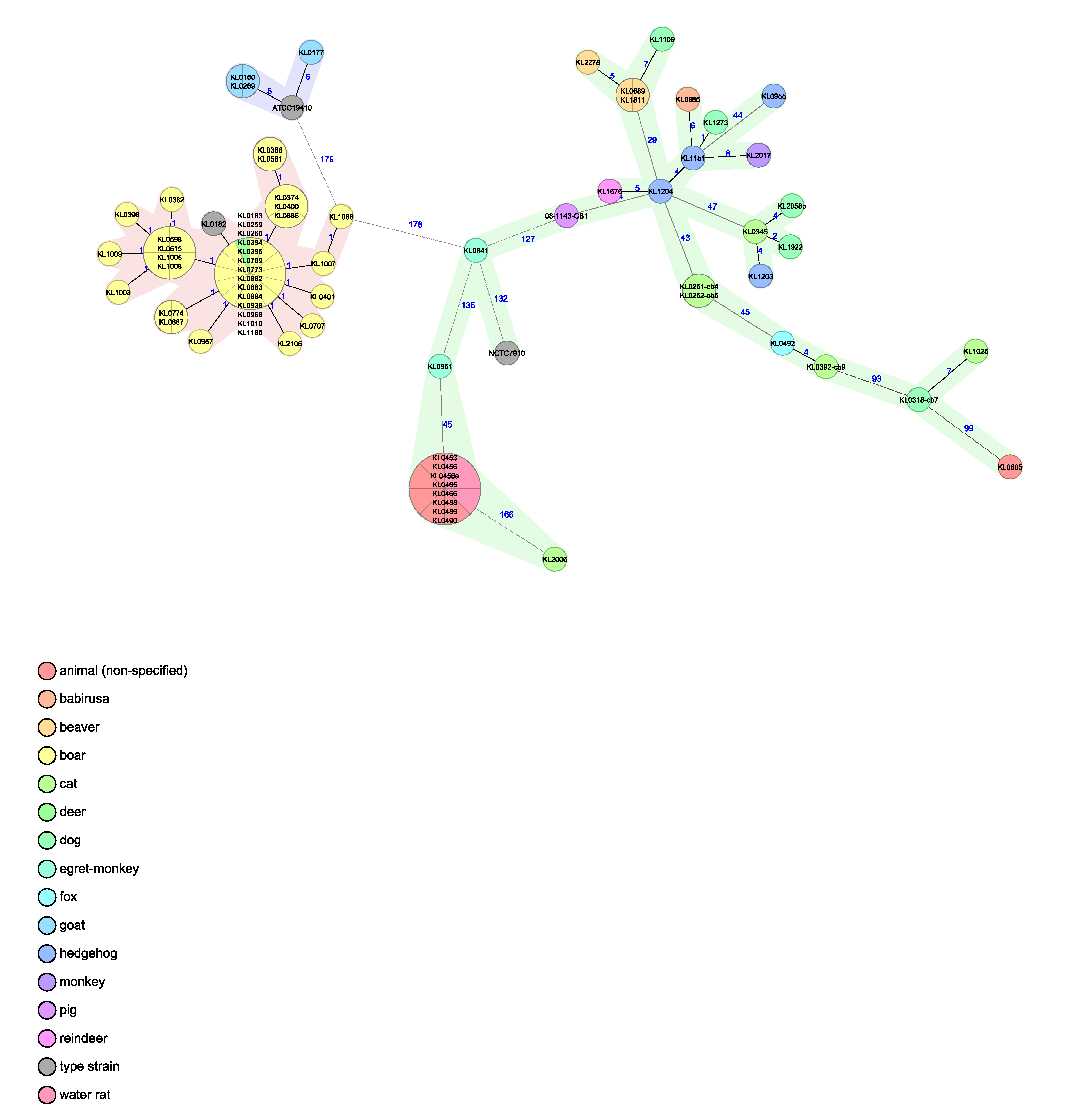 Pathogens 12 00979 g004 Pathogens 12 00979 g004
