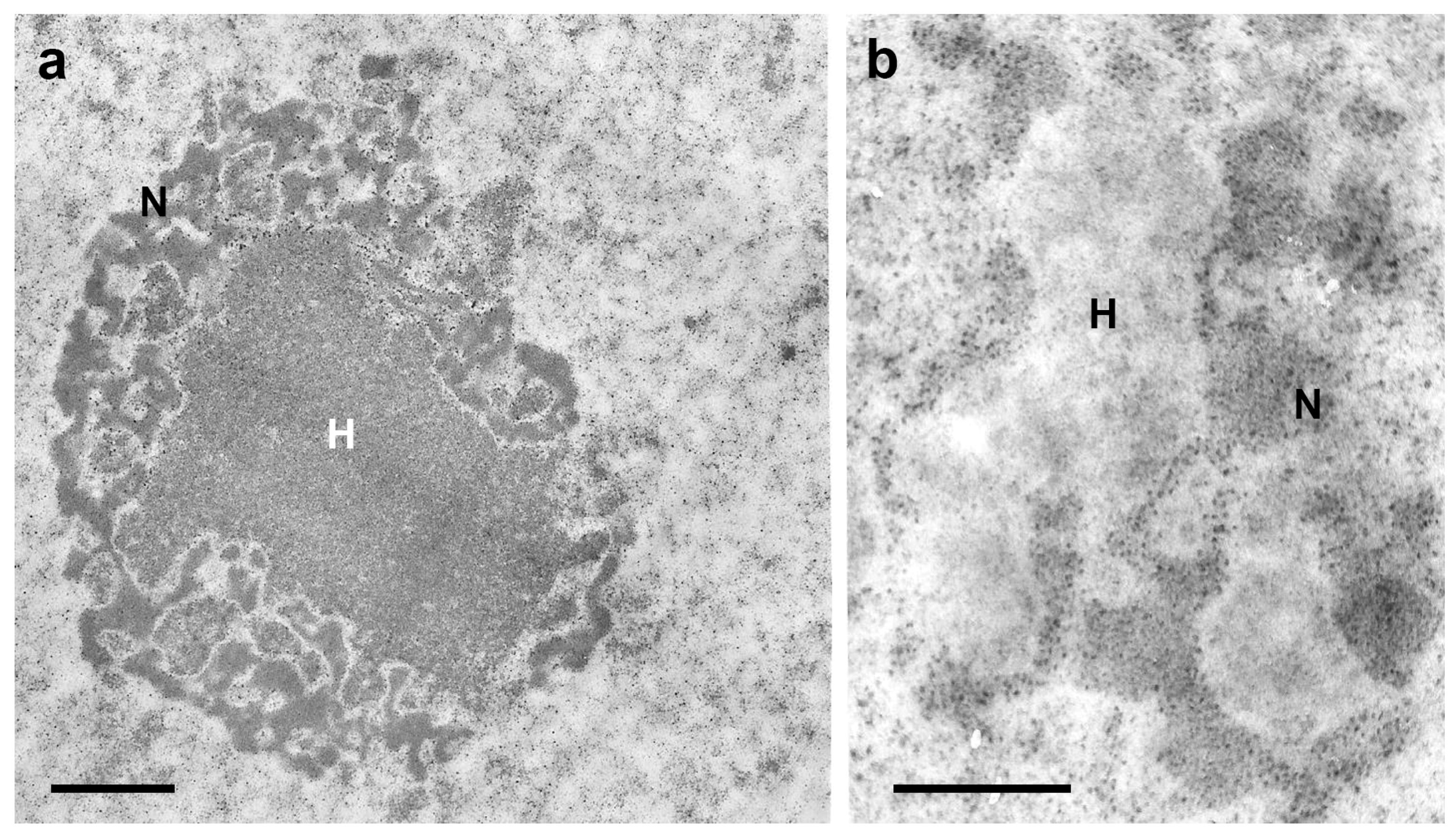 Pathogens 12 01030 g002