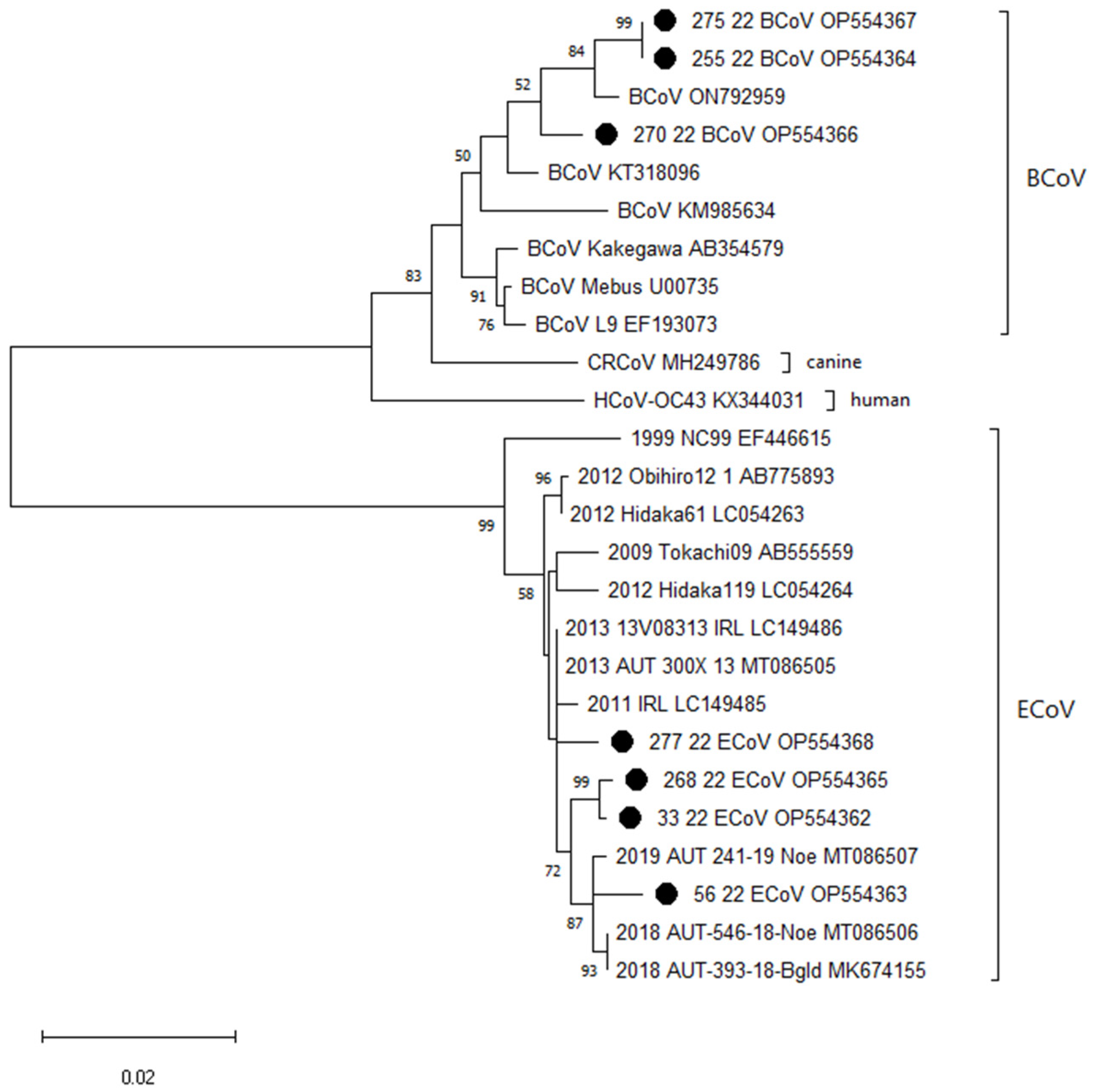 Pathogens 12 01043 g001 Pathogens 12 01043 g001