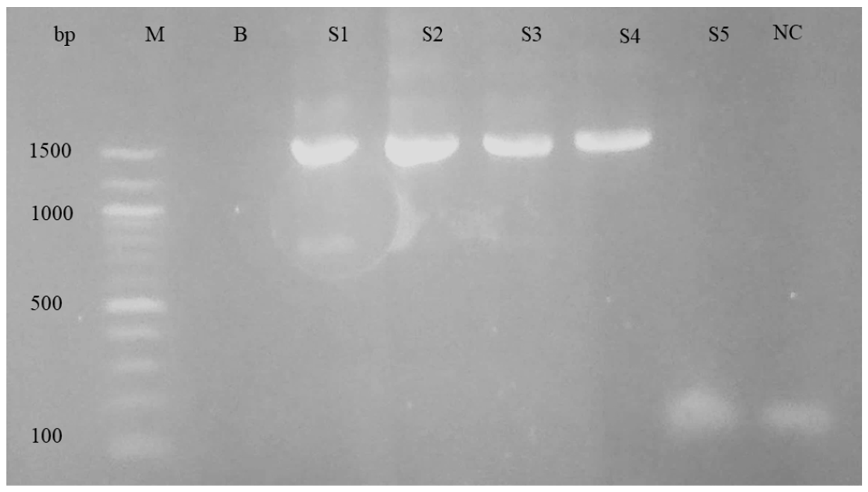 Pathogens 12 01045 g003