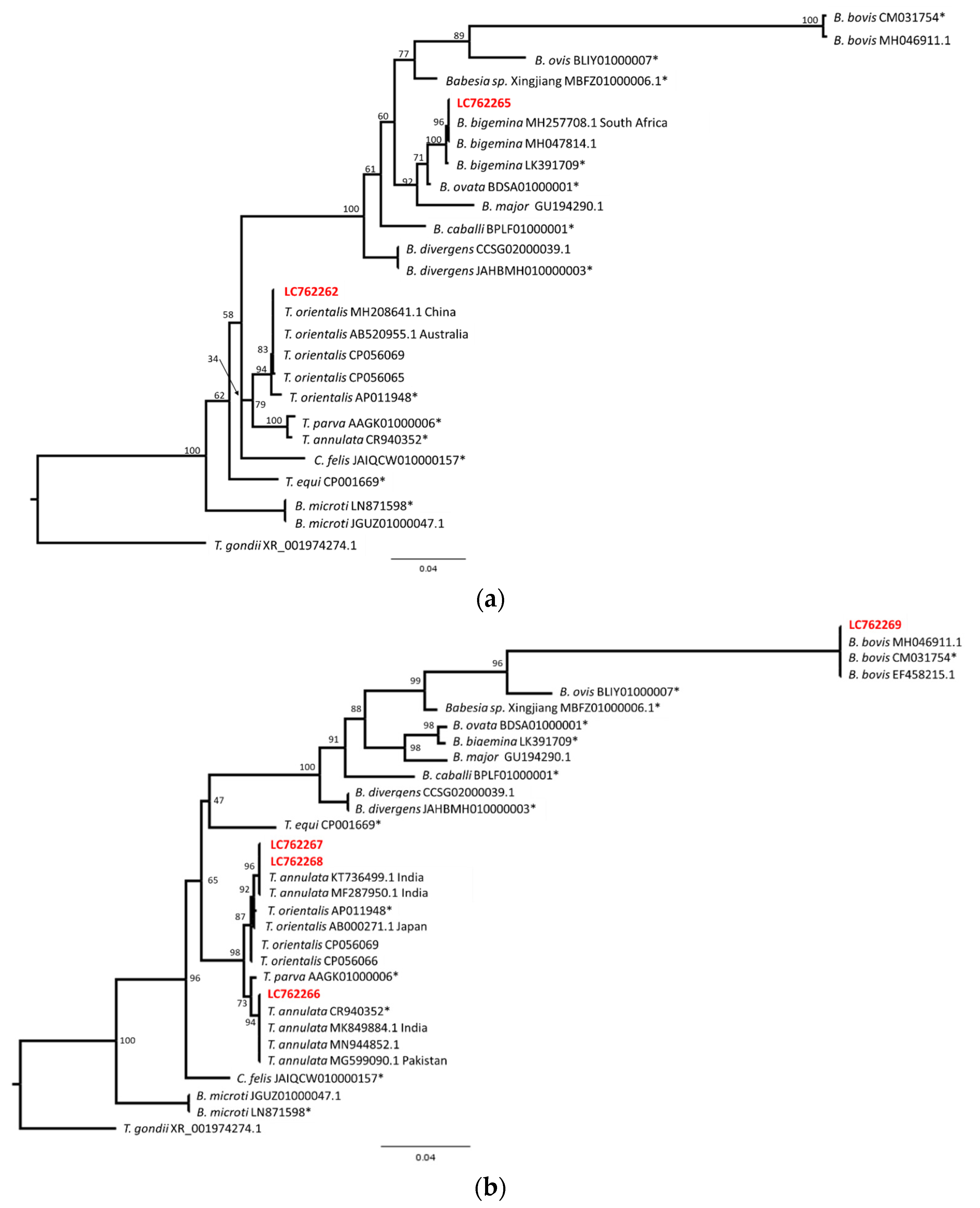 Pathogens 12 01045 g004