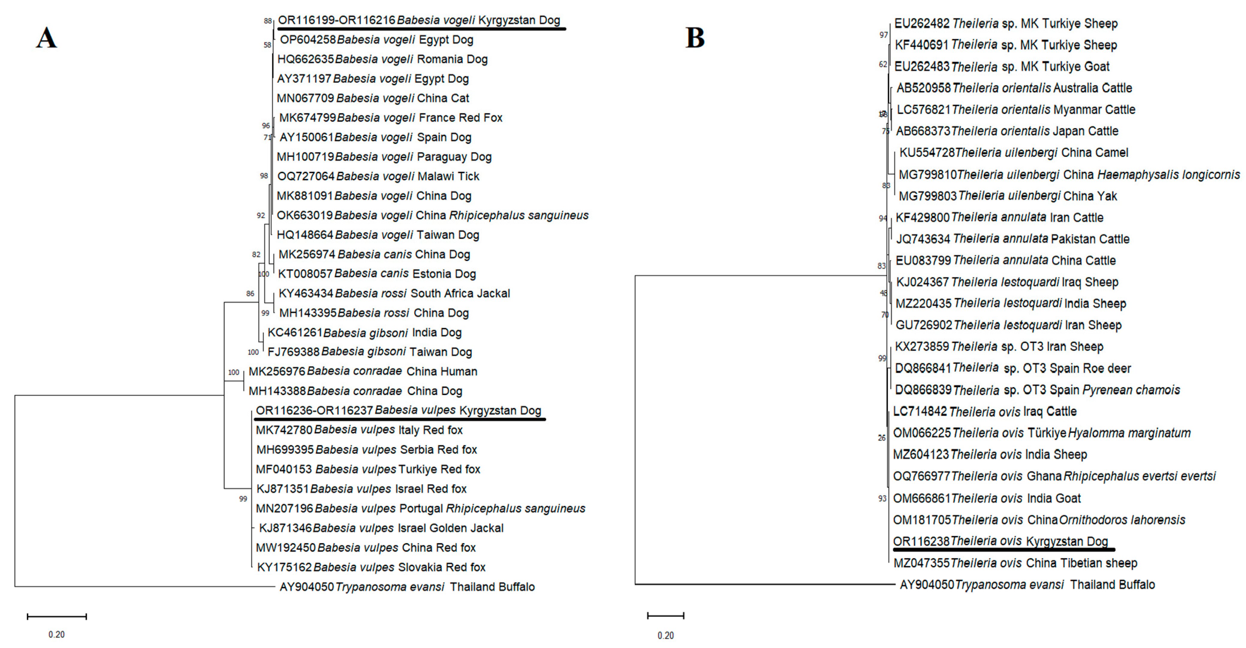 Pathogens 12 01046 g003 Pathogens 12 01046 g003