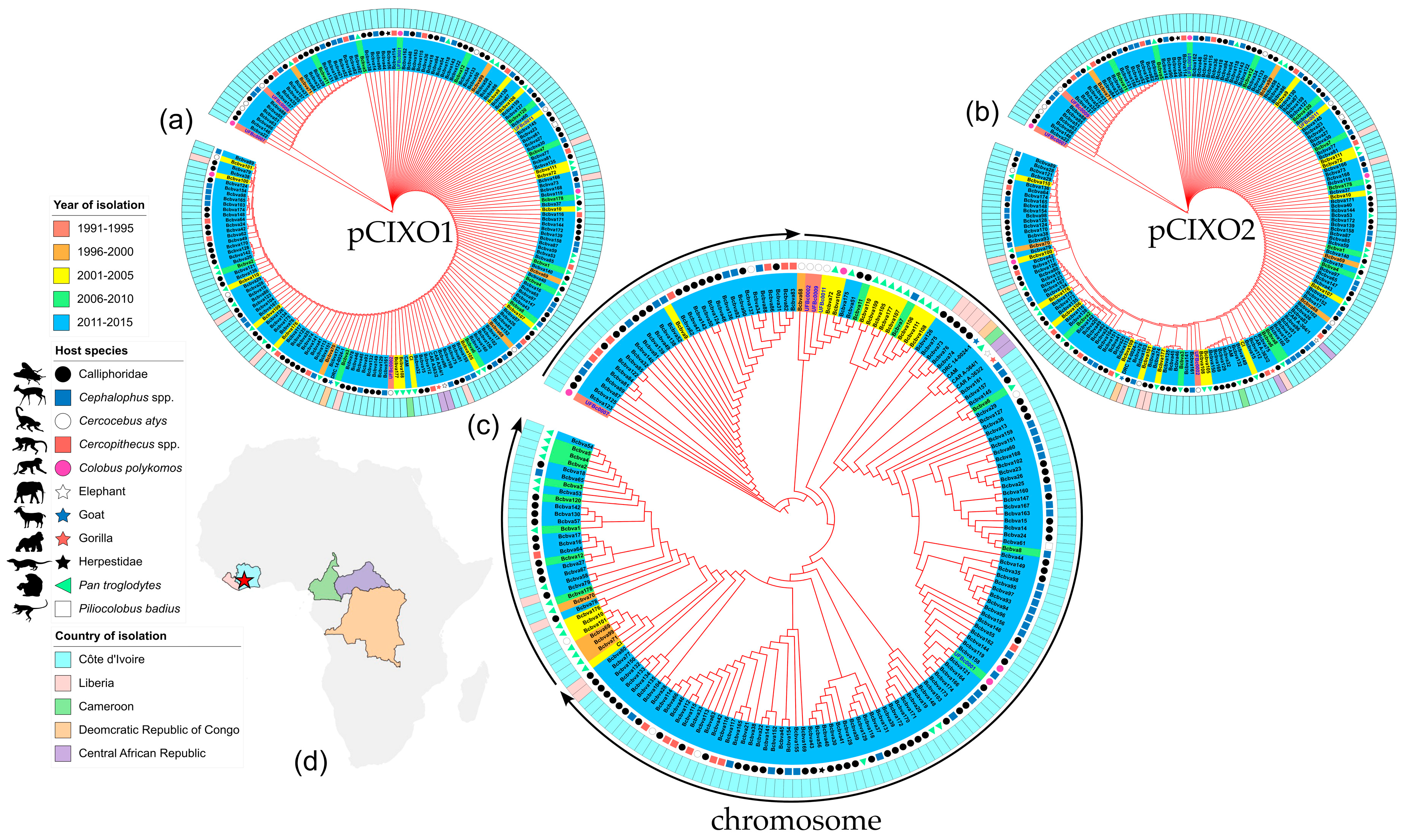 Pathogens 12 01065 g004